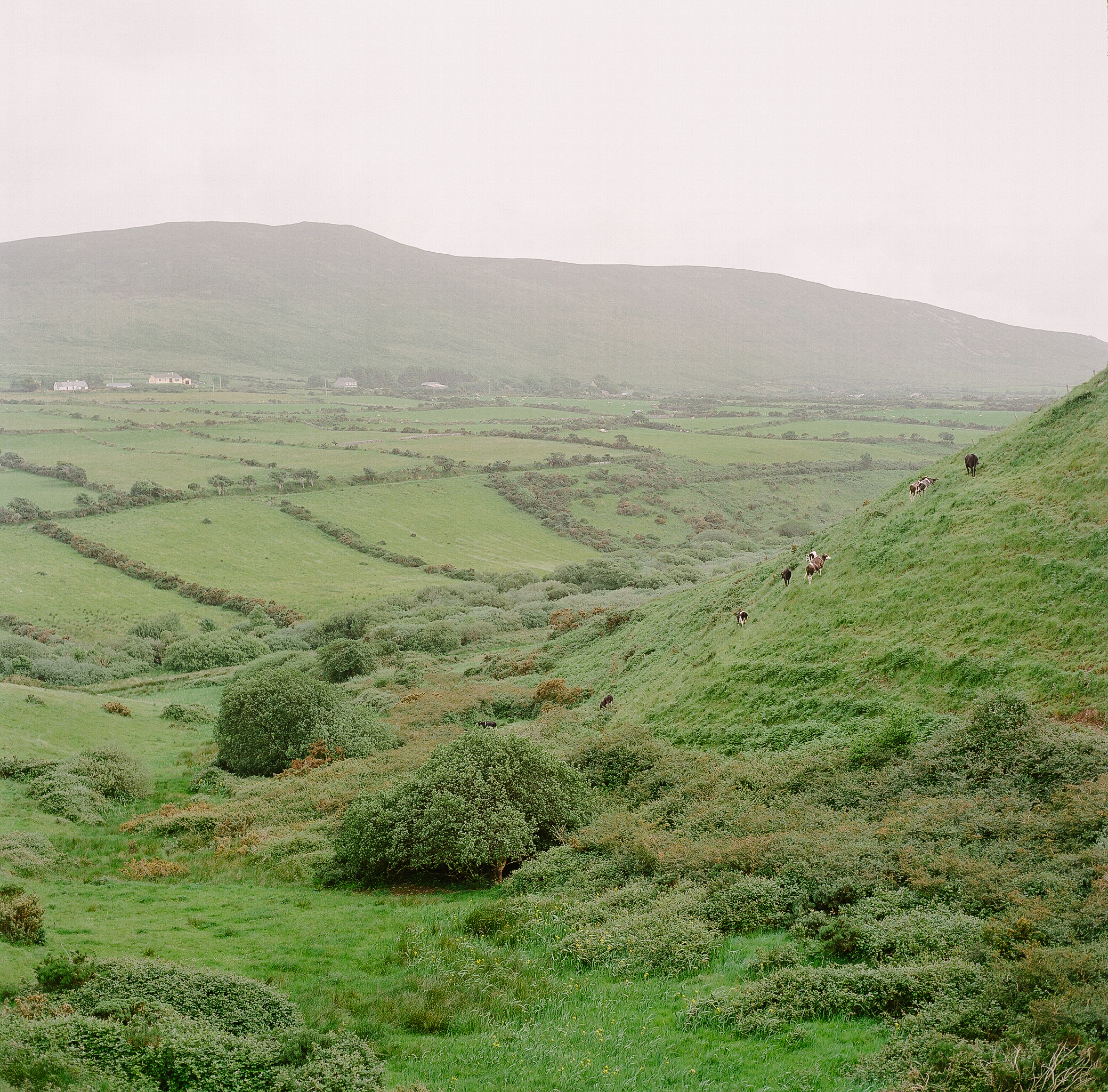 Ireland on Film (Katherine Jury) 94.JPG