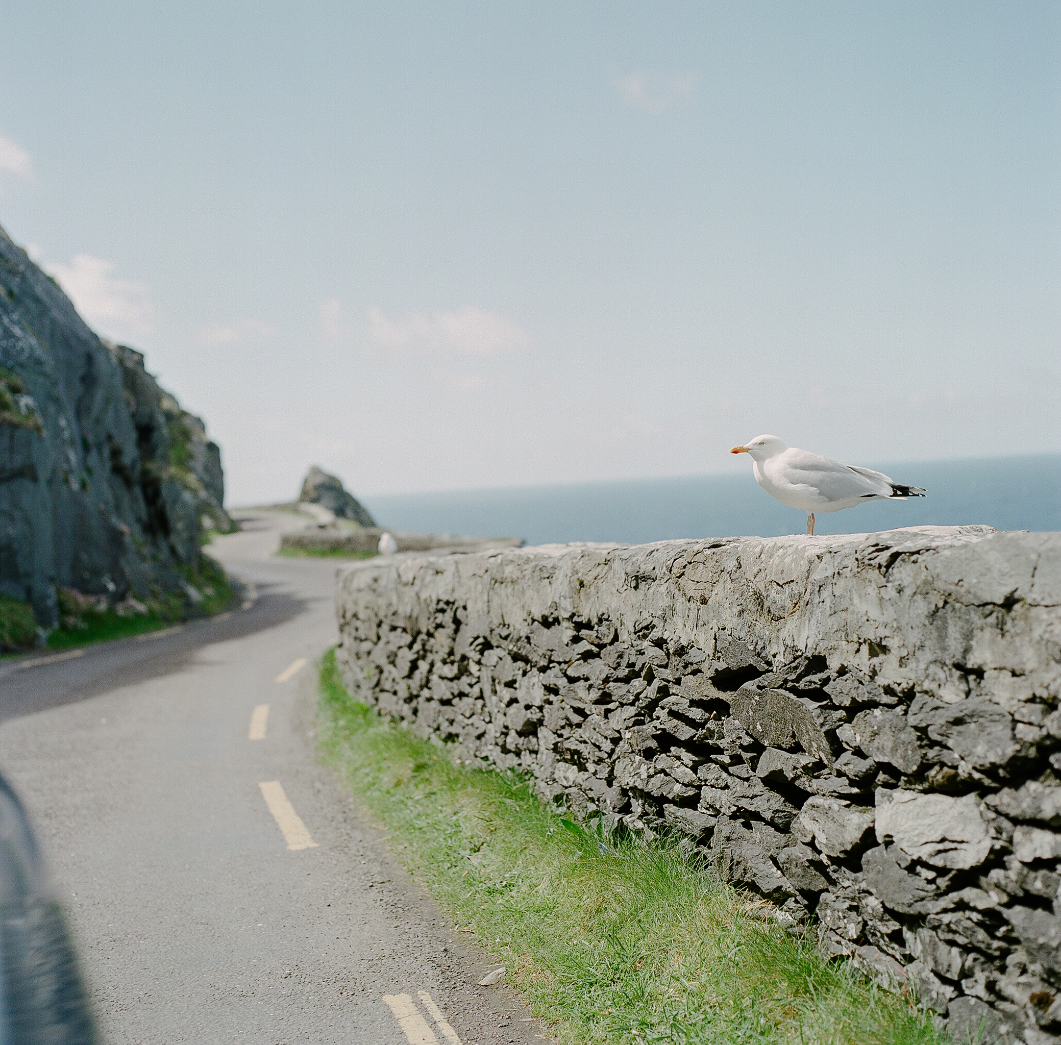 Ireland on Film (Katherine Jury) 103.JPG