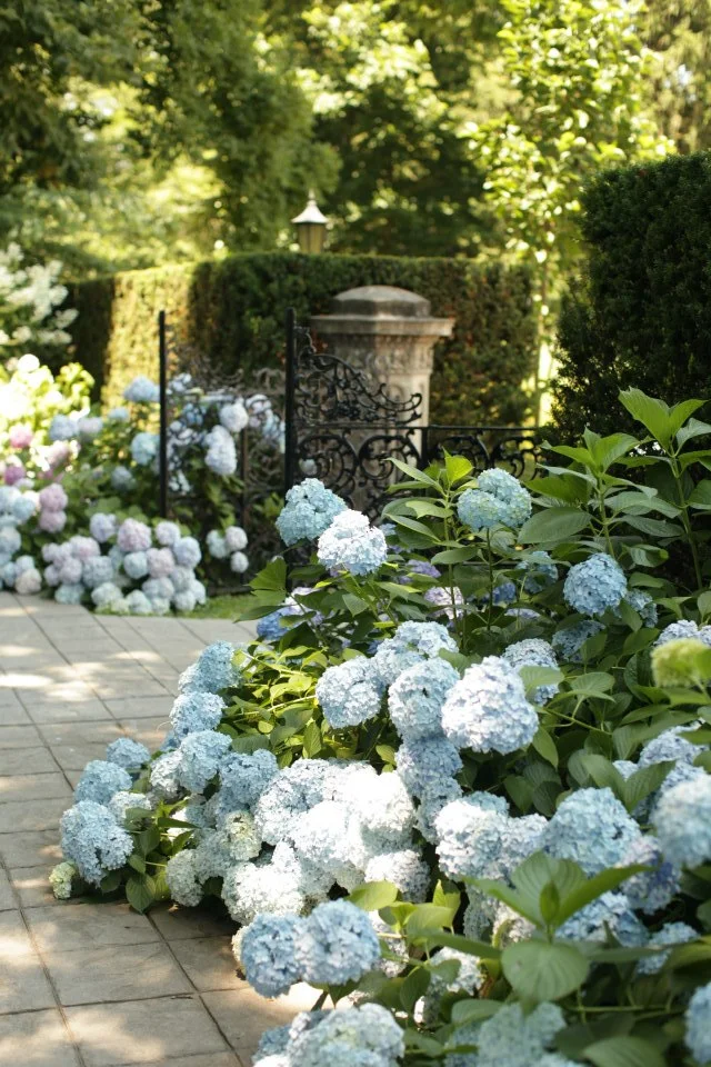 Whitehall Gardens Painting Workshop with Louisville Artist Katherine Jury I.jpg