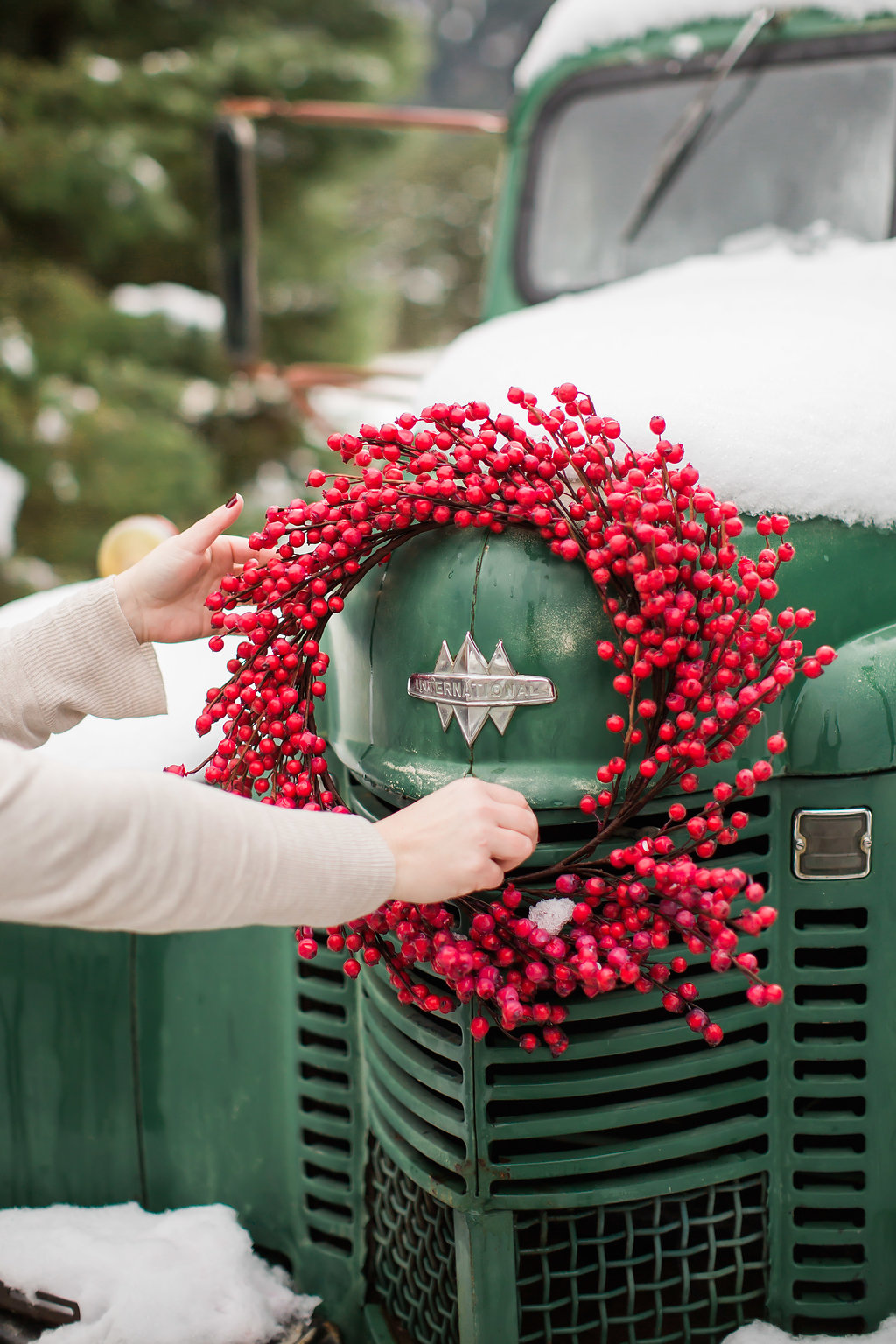 VintageTruckMiniSessions-97.JPG