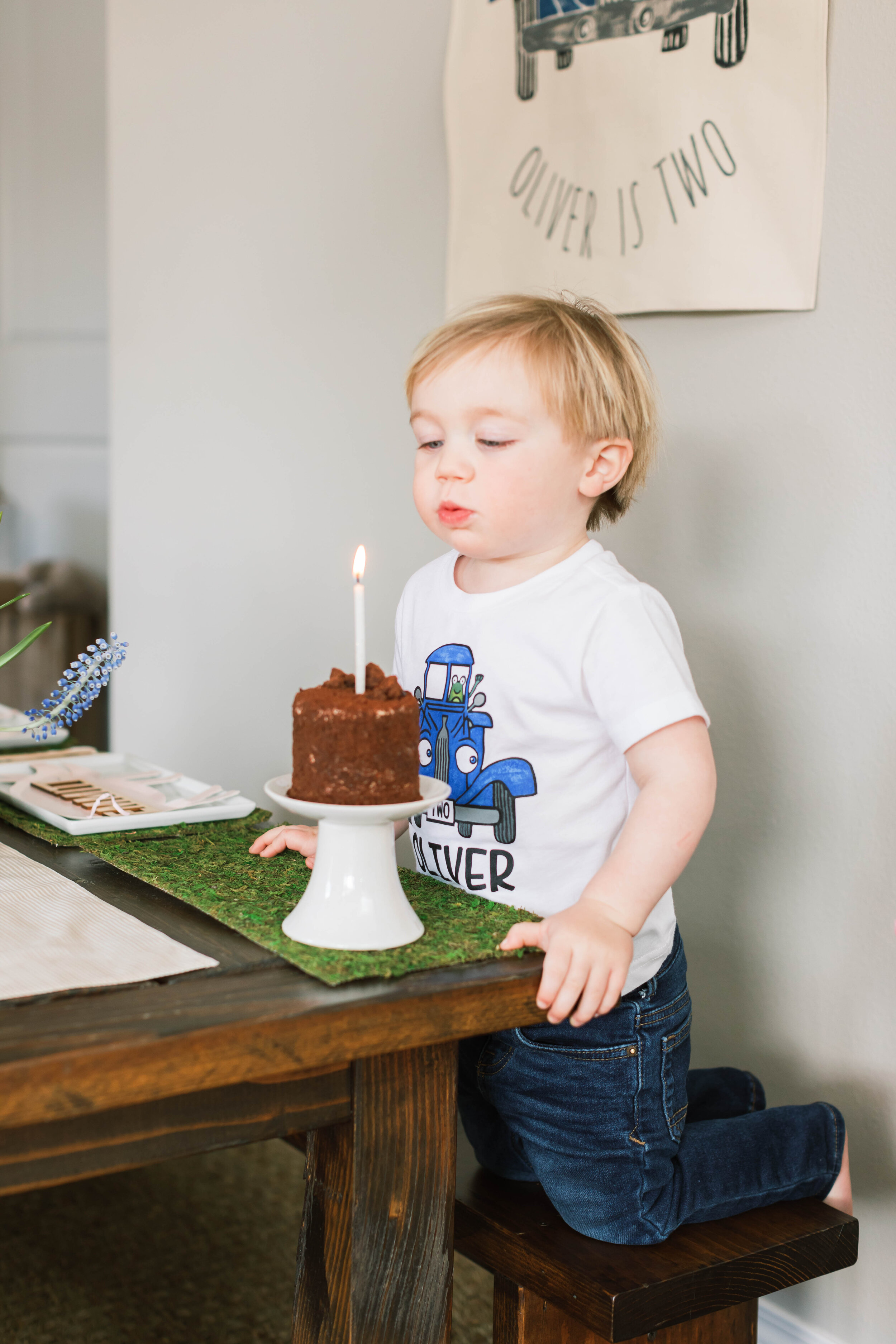 Ollie's2ndLittleBlueTruckBirthdayParty-173.jpg