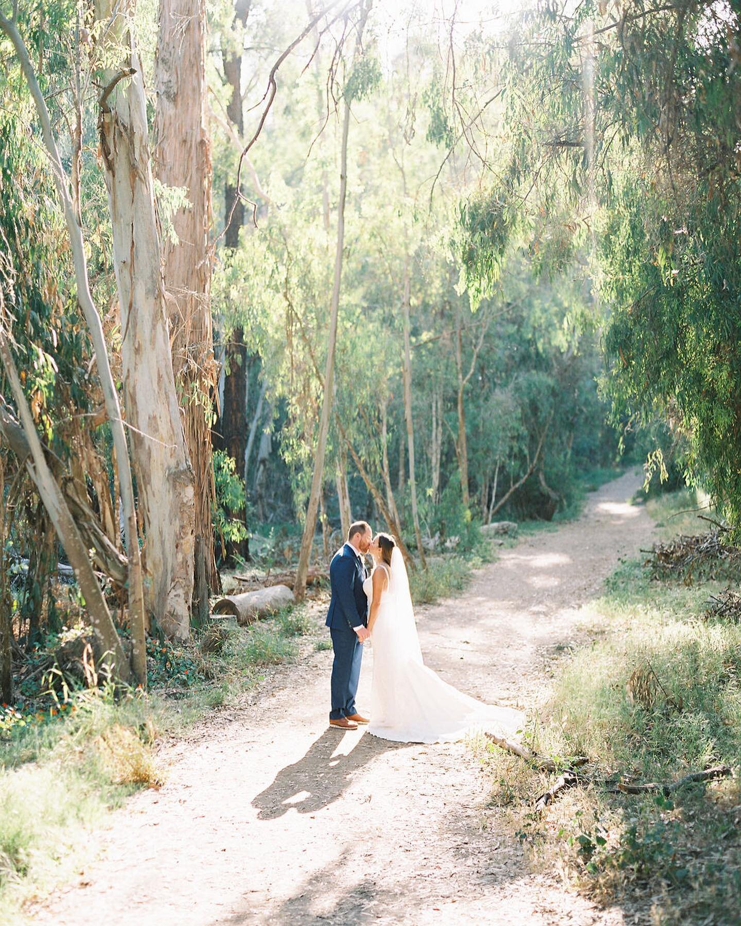 The eucalyptus groves never disappoint!