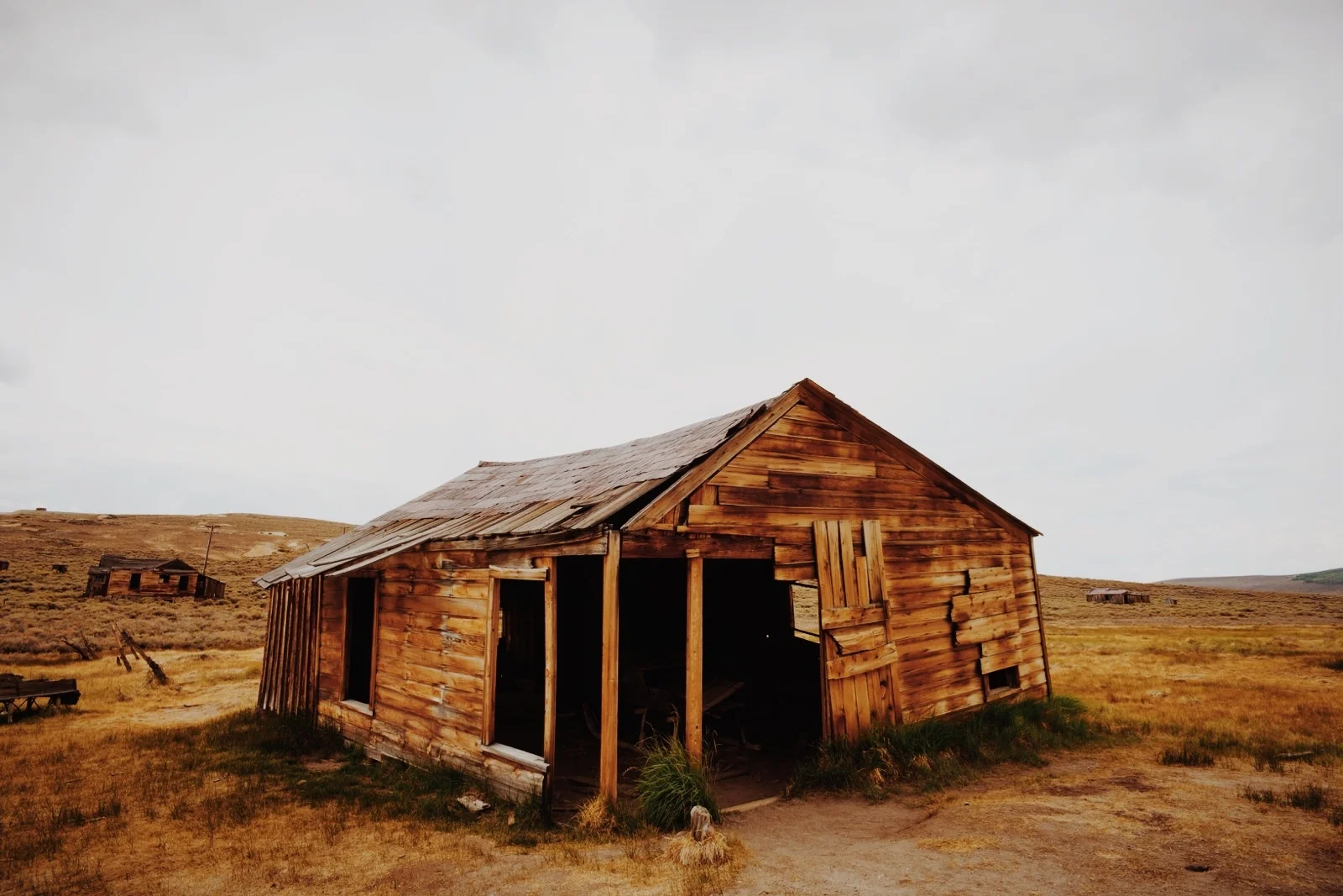 vsco_072914 (1).jpg