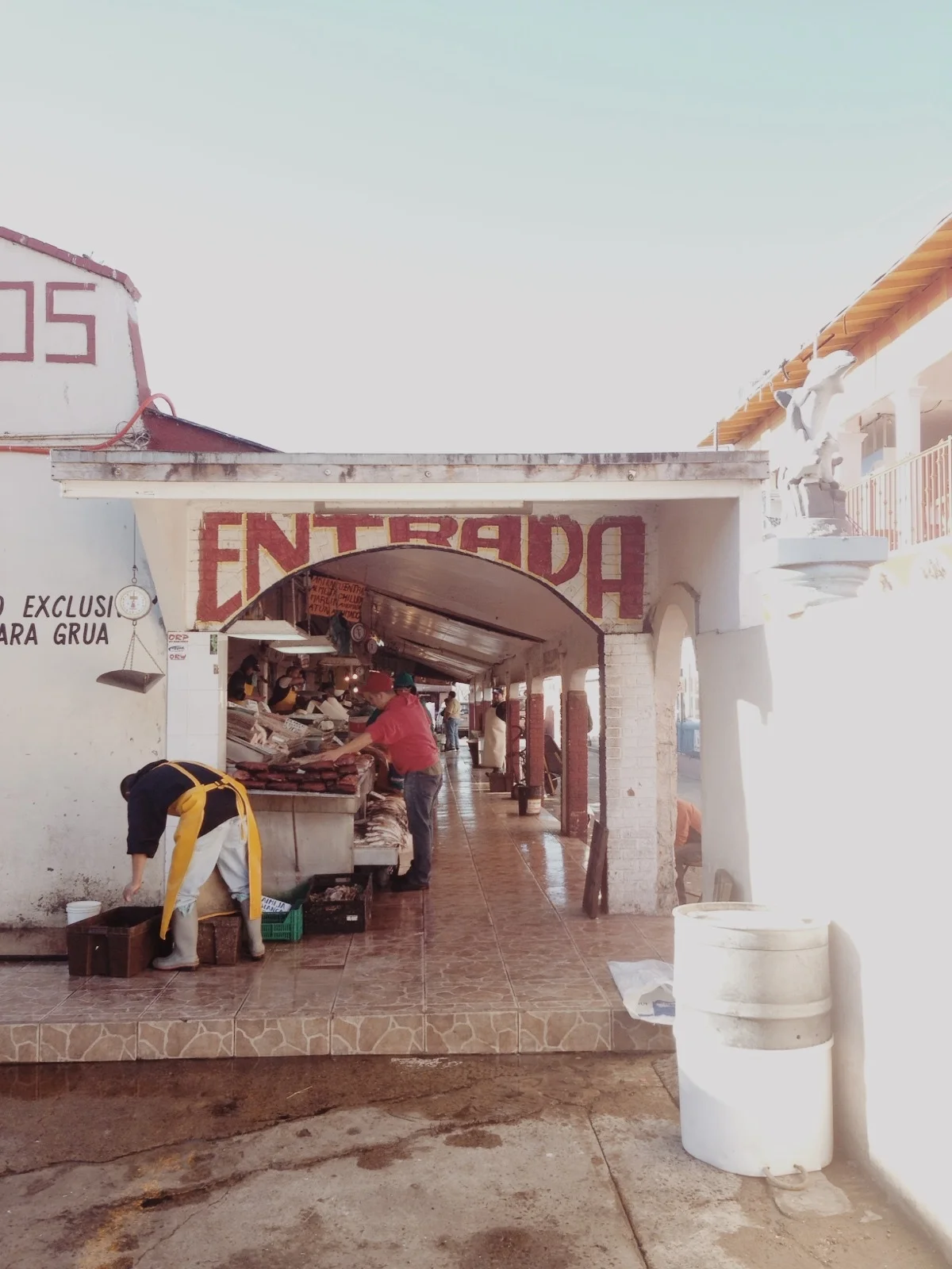 vsco_021914 (8).jpg