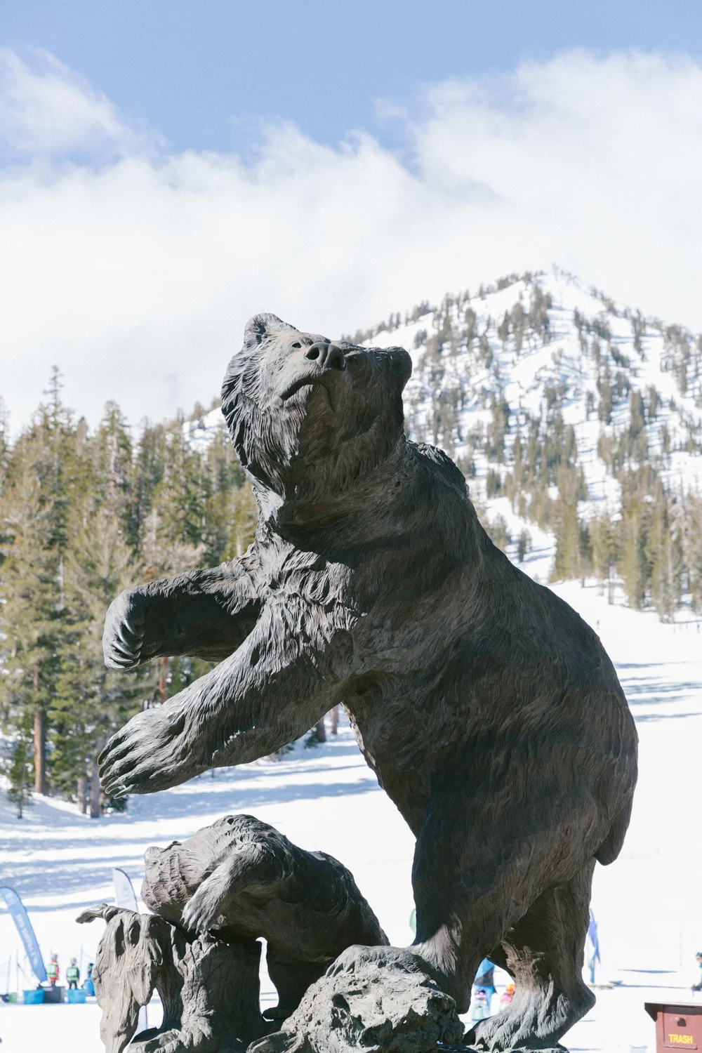justinhalbert-alaskaairlines-mammoth-103.jpg