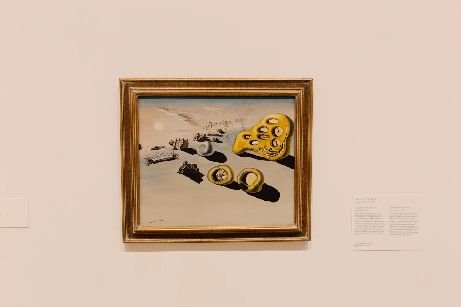 sdma-justinhalbert-036.jpg