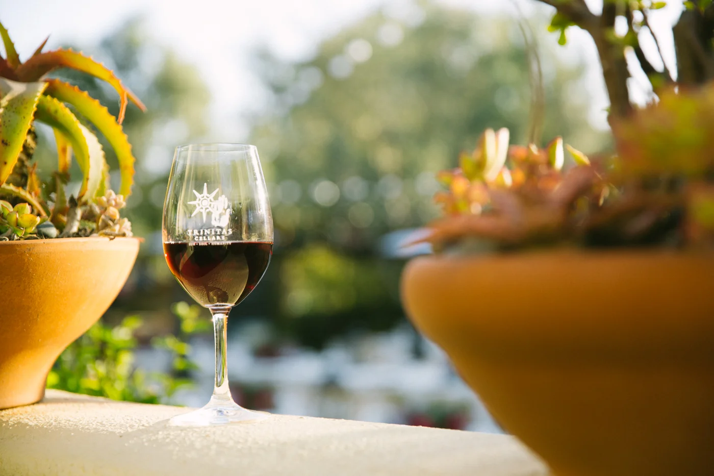Trinitas Winery