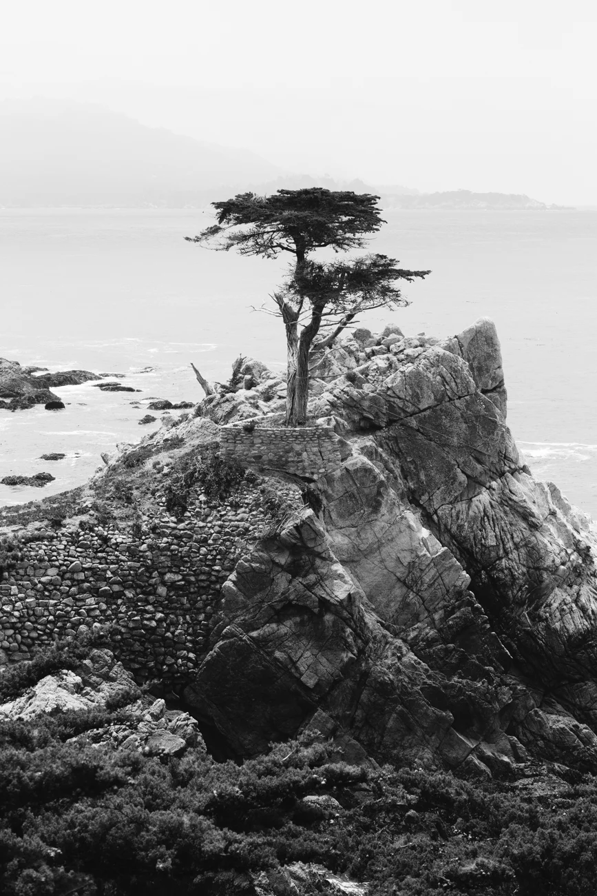 justin-halbert-san-francisco062019-100.jpg
