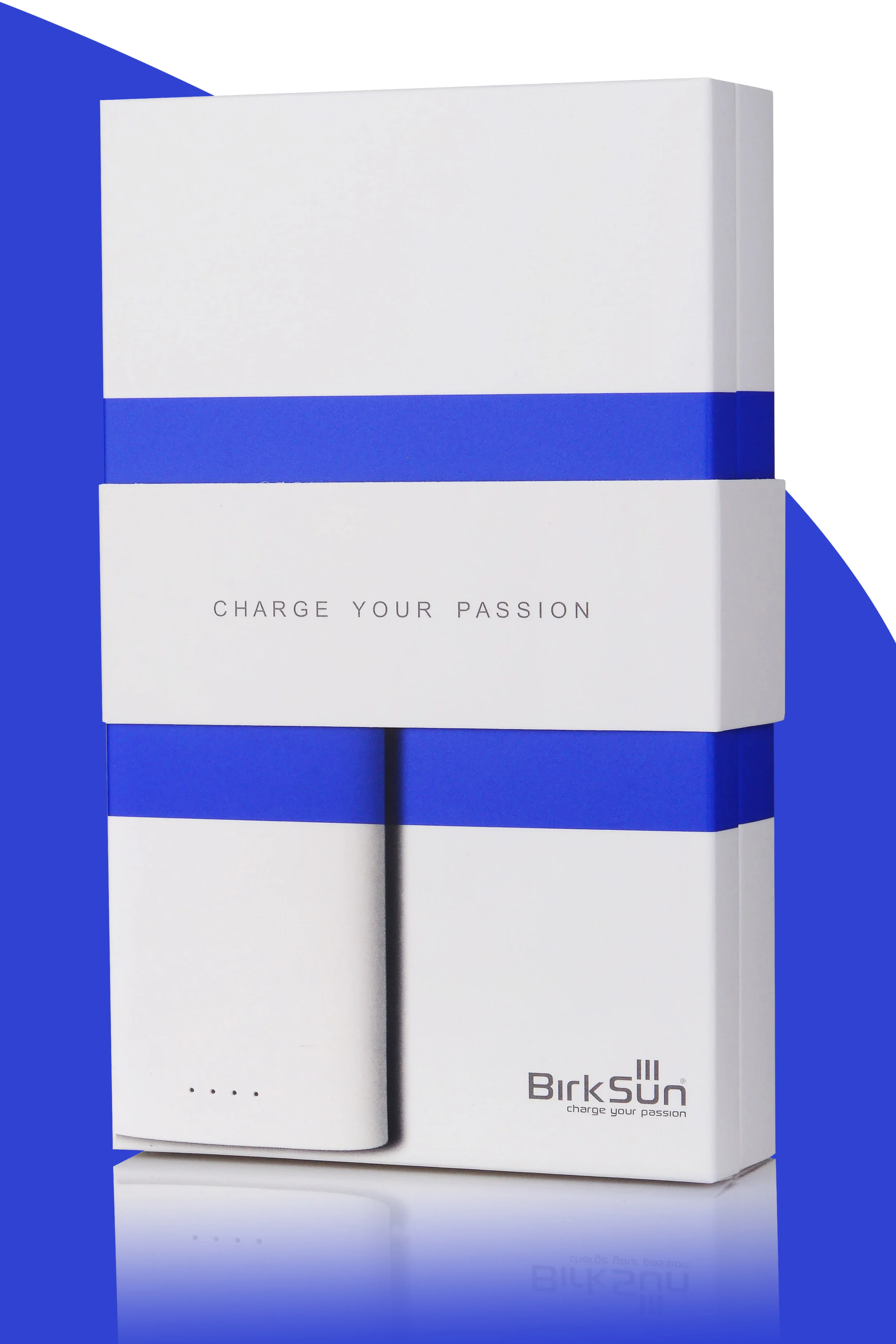 Birksun-Charger-Package.jpg