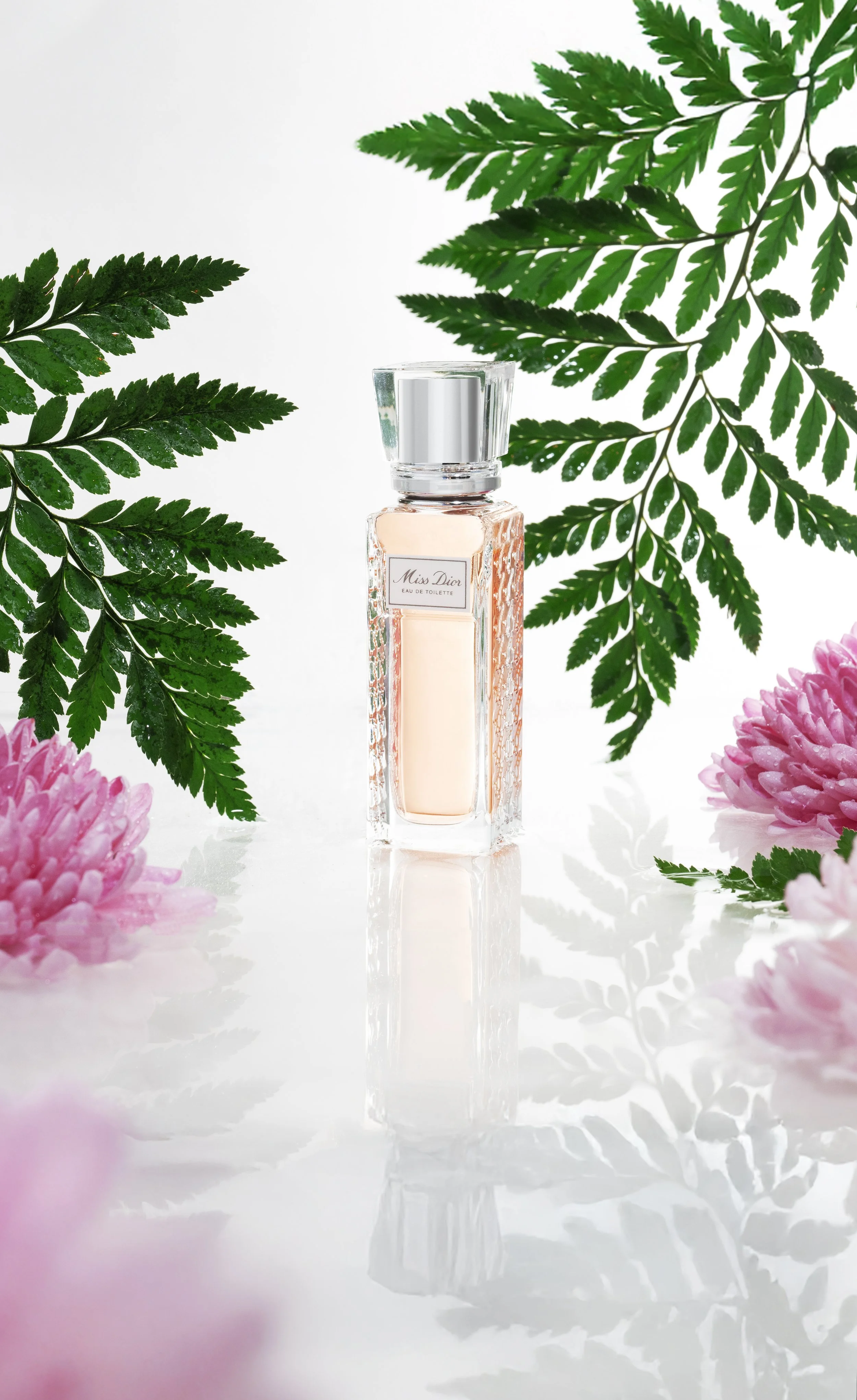 Dior-1 copy.jpg