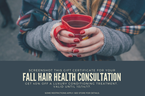 fall hair consult.png
