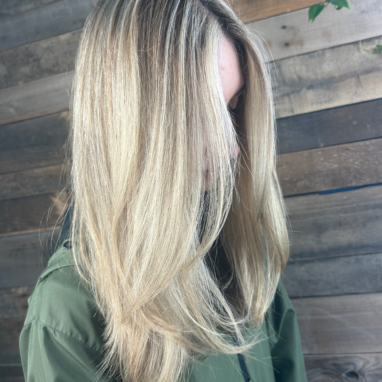 PayPal Image (4).png