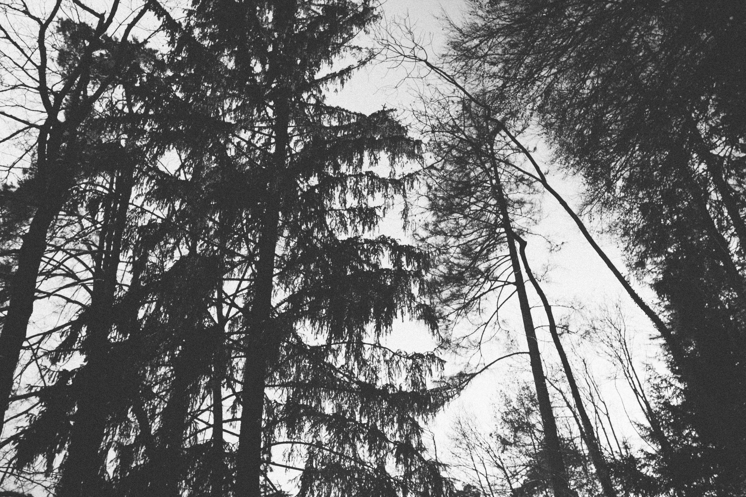 THE ETERNAL CHILD. // AUSTRIA PART II. Photo By Valerie Noell © 2013