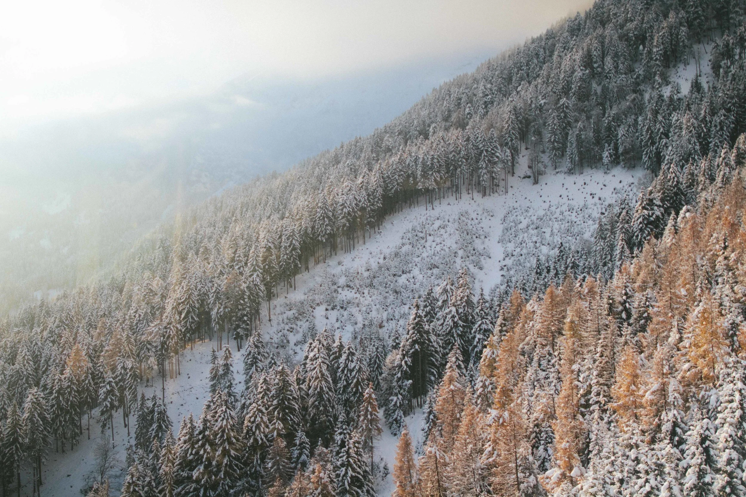 THE ETERNAL CHILD. // AUSTRIA PART II. Photo By Valerie Noell © 2013