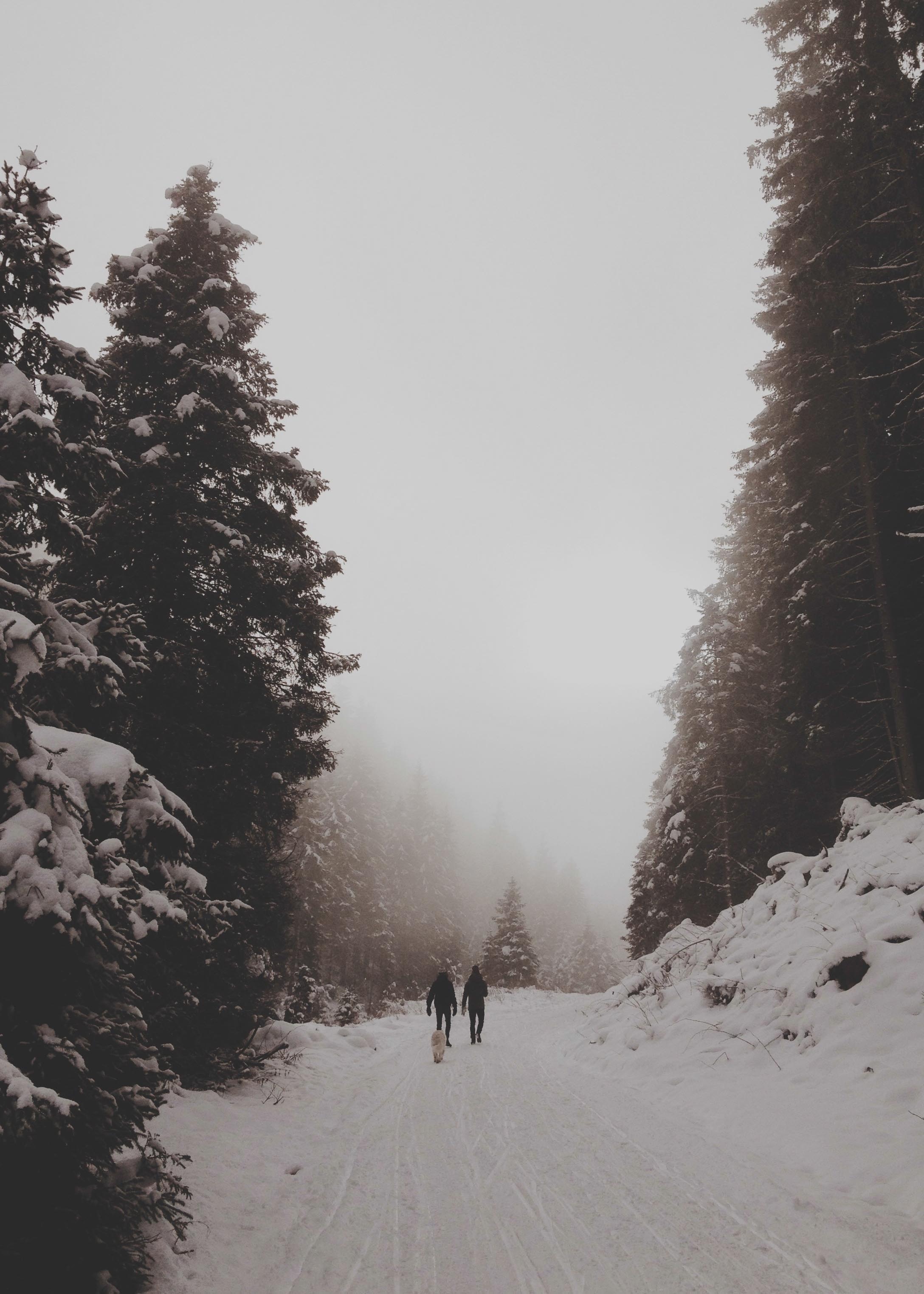 THE ETERNAL CHILD. // AUSTRIA PART IV. Photo By Valerie Noell © 2013
