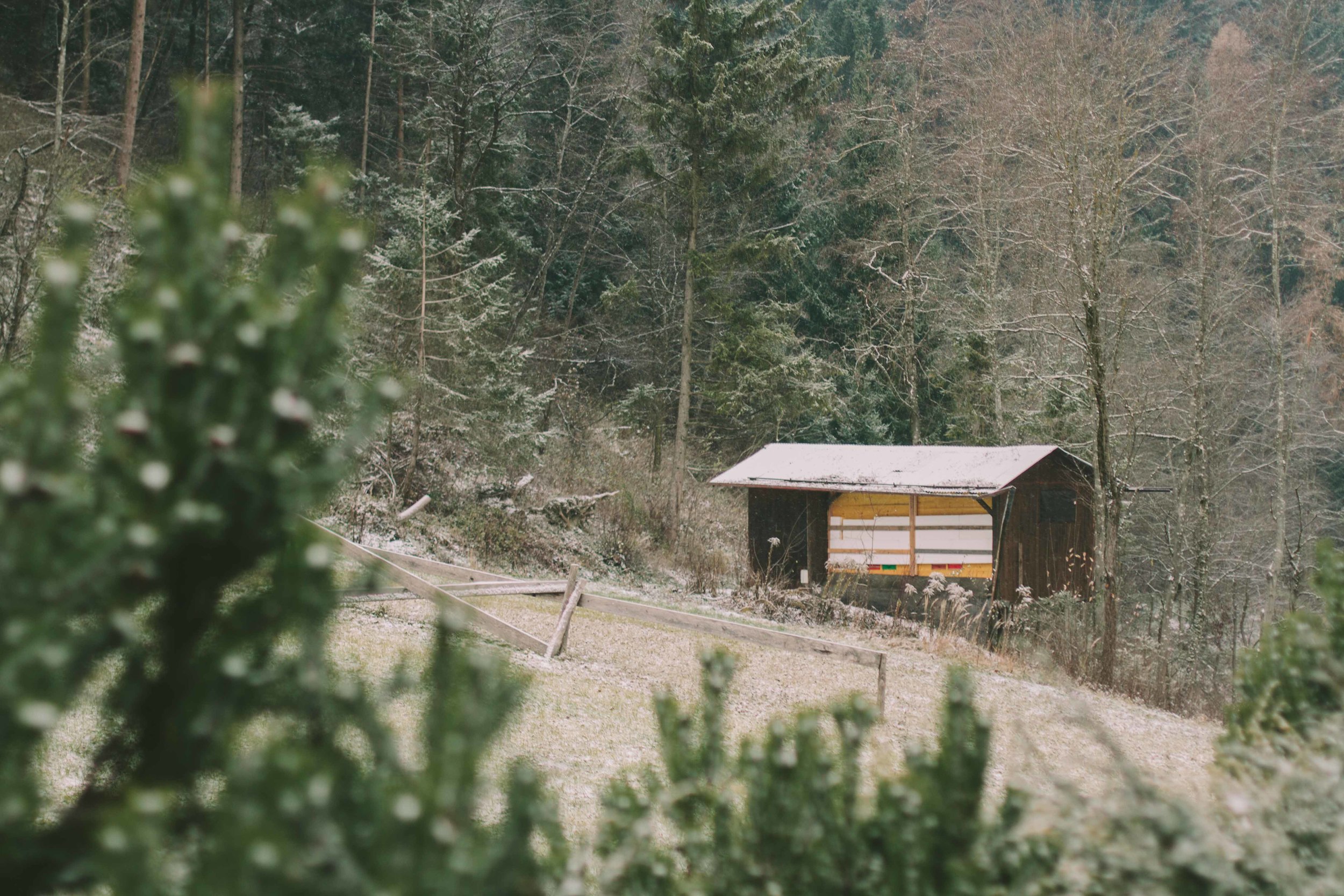 AUSTRIA PART VI // GATHERINGS // THE ETERNAL CHILD // VALERIE NOELL © 2013