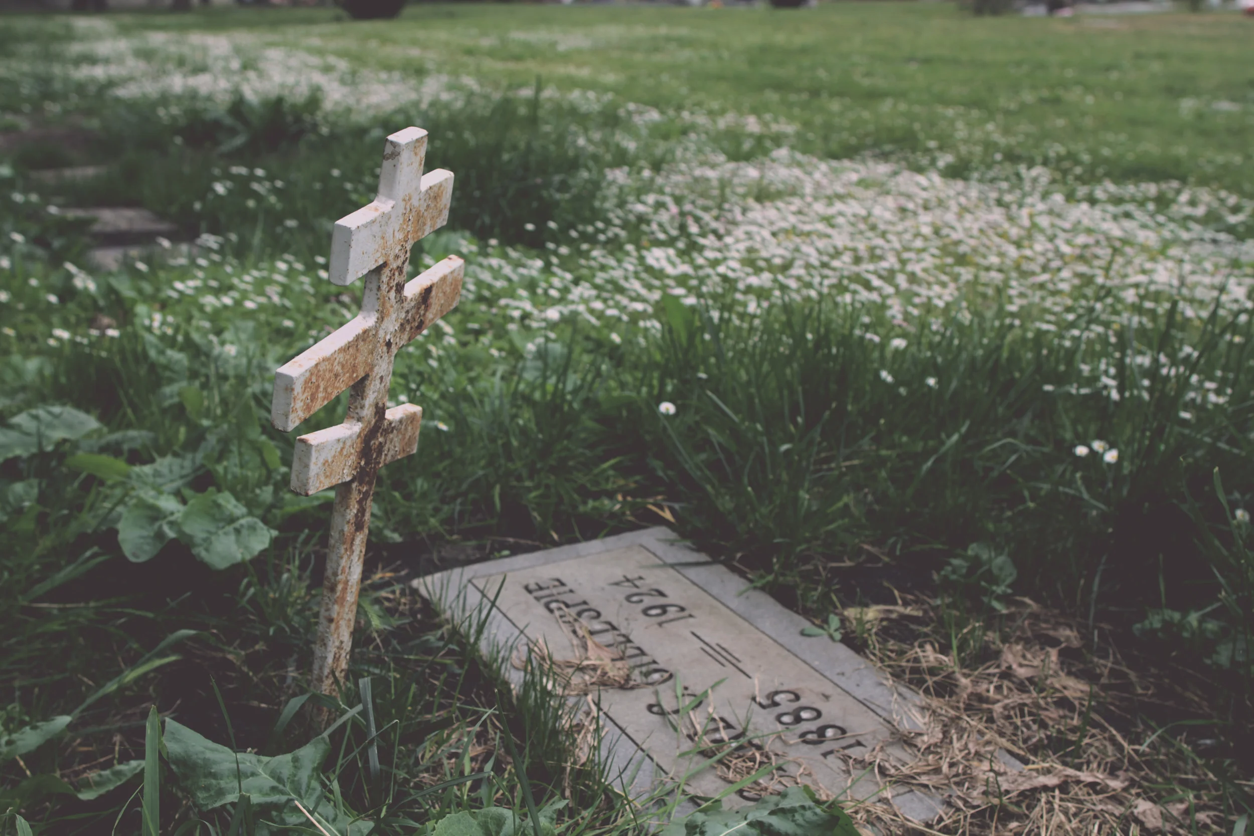 THE CHILD OF THE LIVING DEAD // THE ETERNAL CHILD // PHOTO BY © VALERIE NOELL