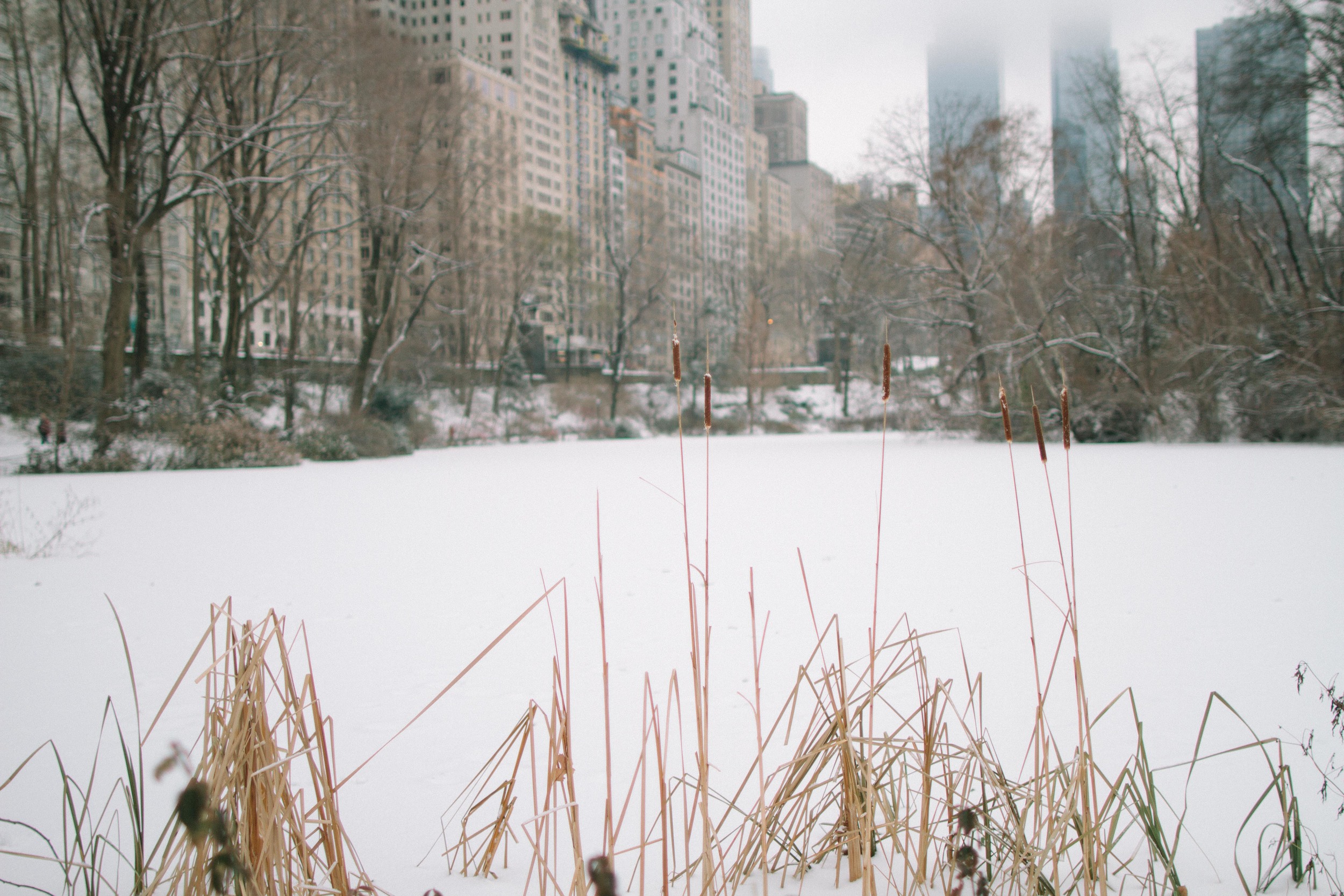 NEW YORK CITY PART I // SNOW DAY // THE ETERNAL CHILD // VALERIE NOELL © 2013