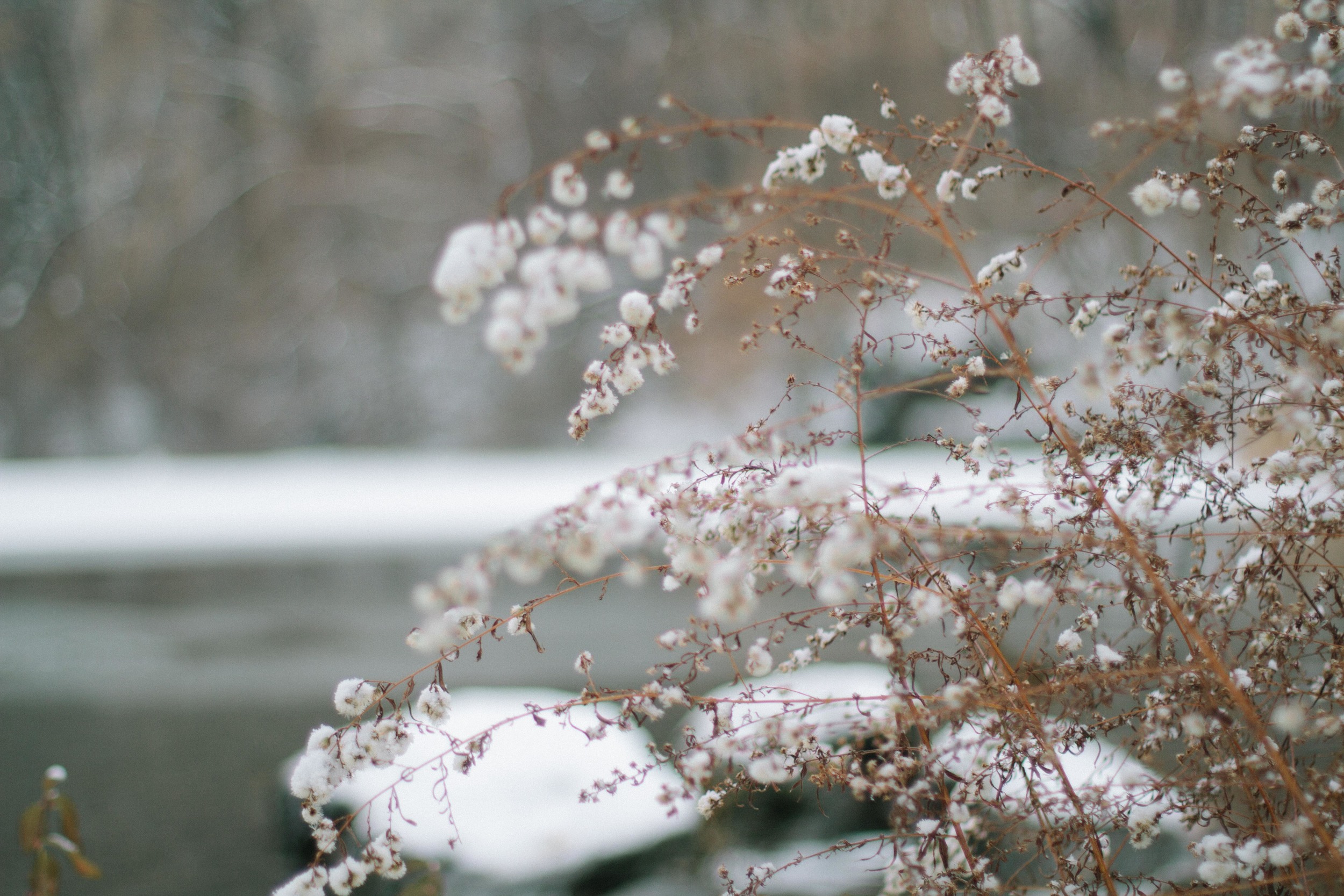 NEW YORK CITY PART I // SNOW DAY // THE ETERNAL CHILD // VALERIE NOELL © 2013