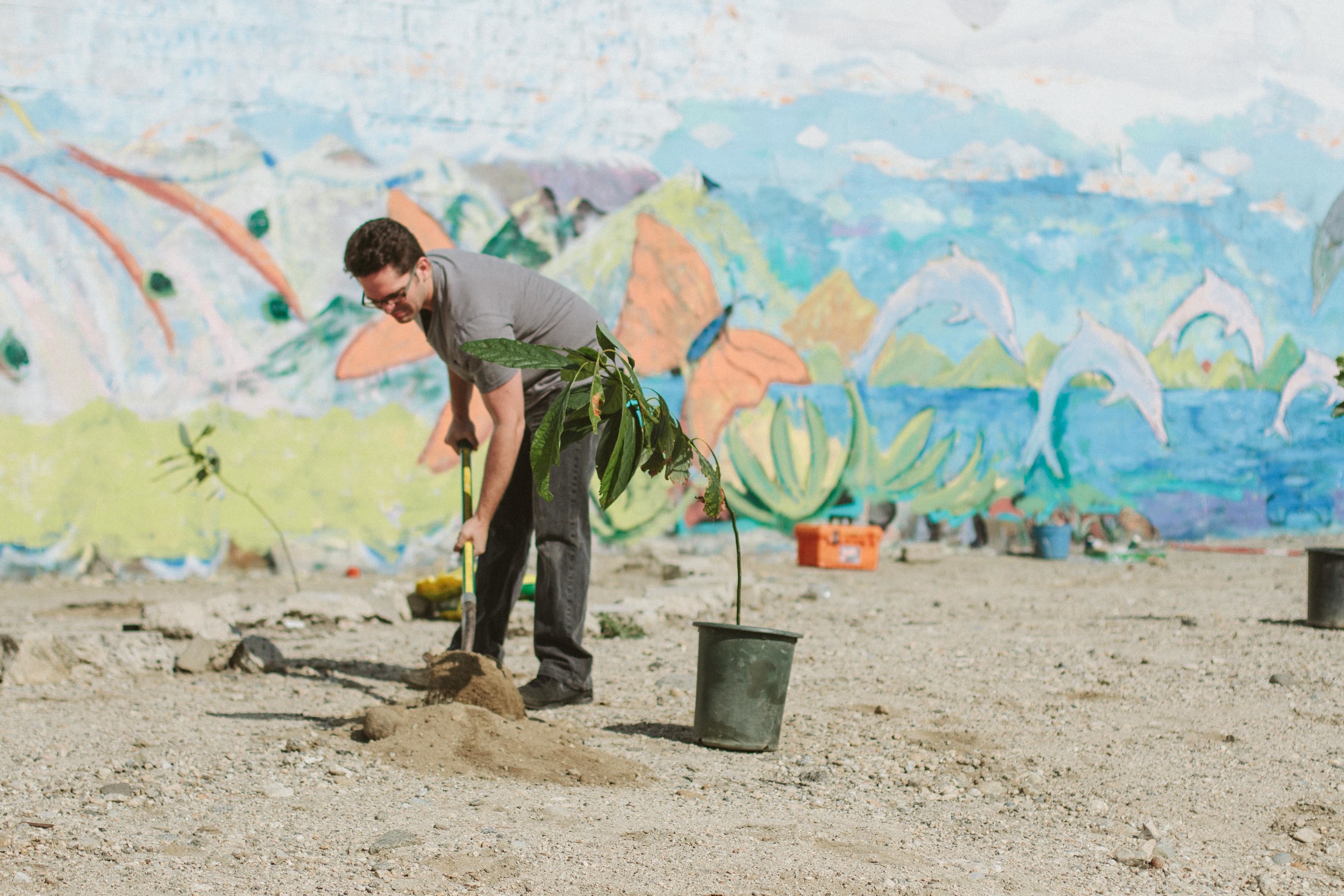 THE ETERNAL CHILD // AVOCADO ARMY// EARTH DAY EVERYDAY PLANTING