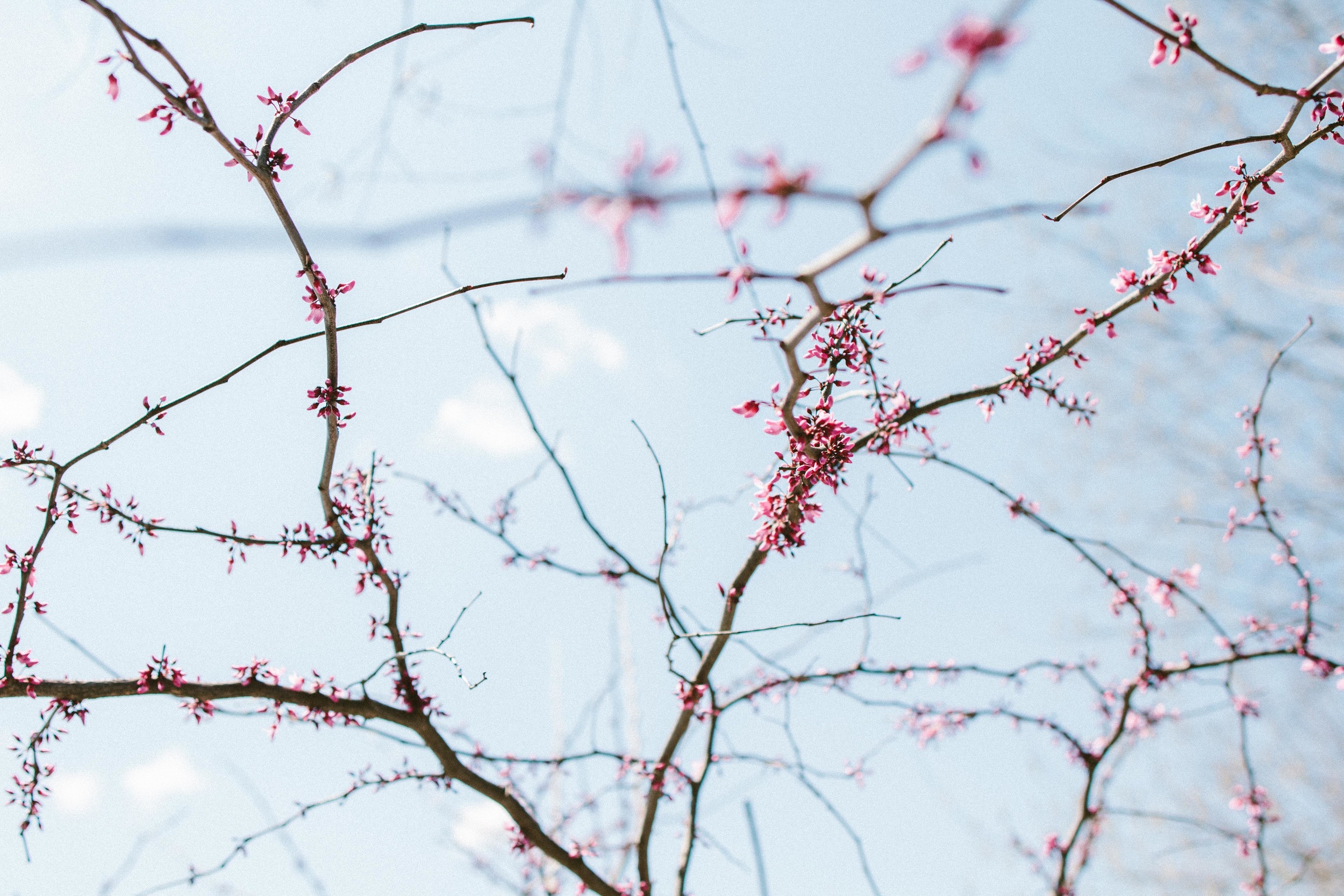 THE ETERNAL CHILD // NORTH CAROLINA PART III // MIGHTY GOOD FEASTS
