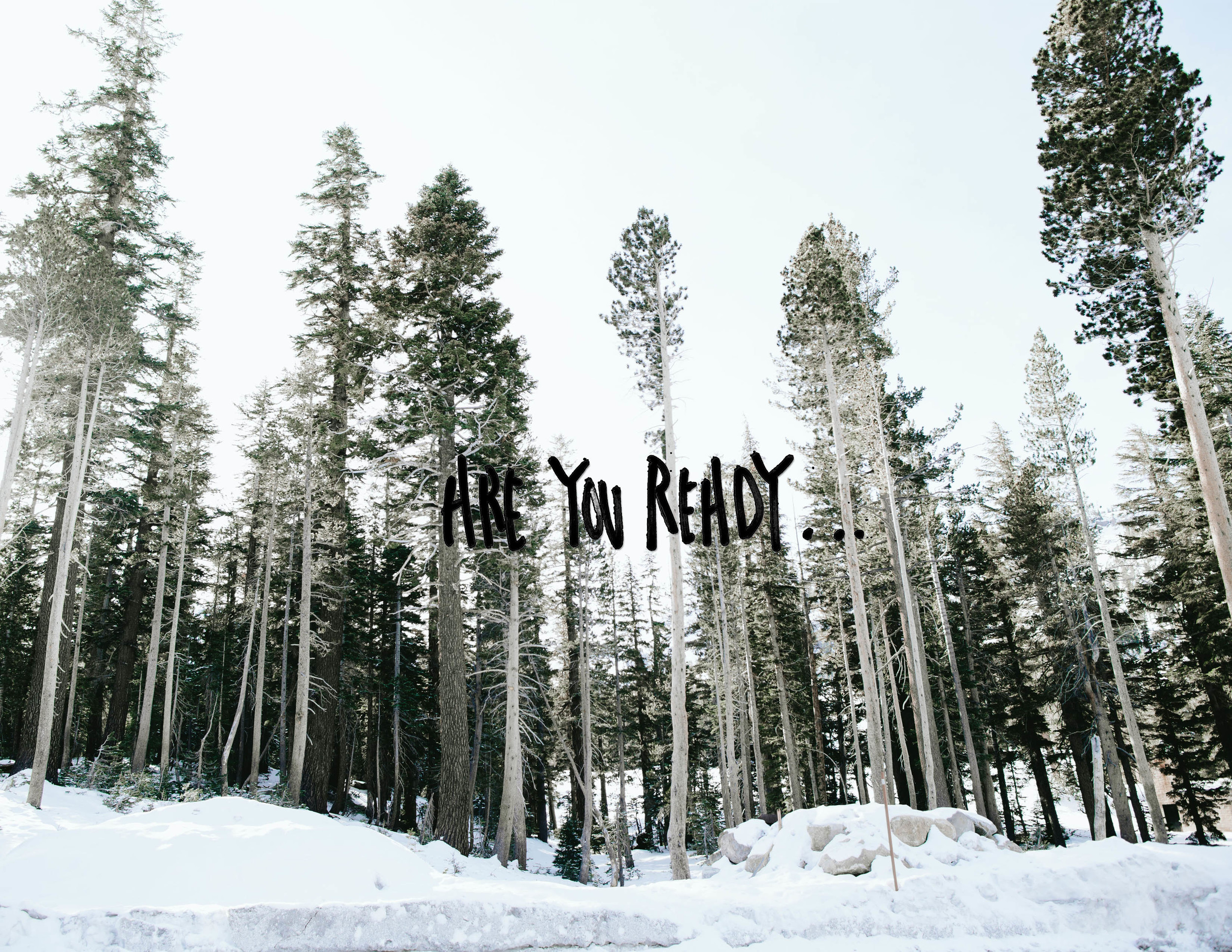 Redwood Ranch Gathering by The Eternal Child // Winter Gathering Inspiration ! Creative Directed + Photographed by Valerie Noell