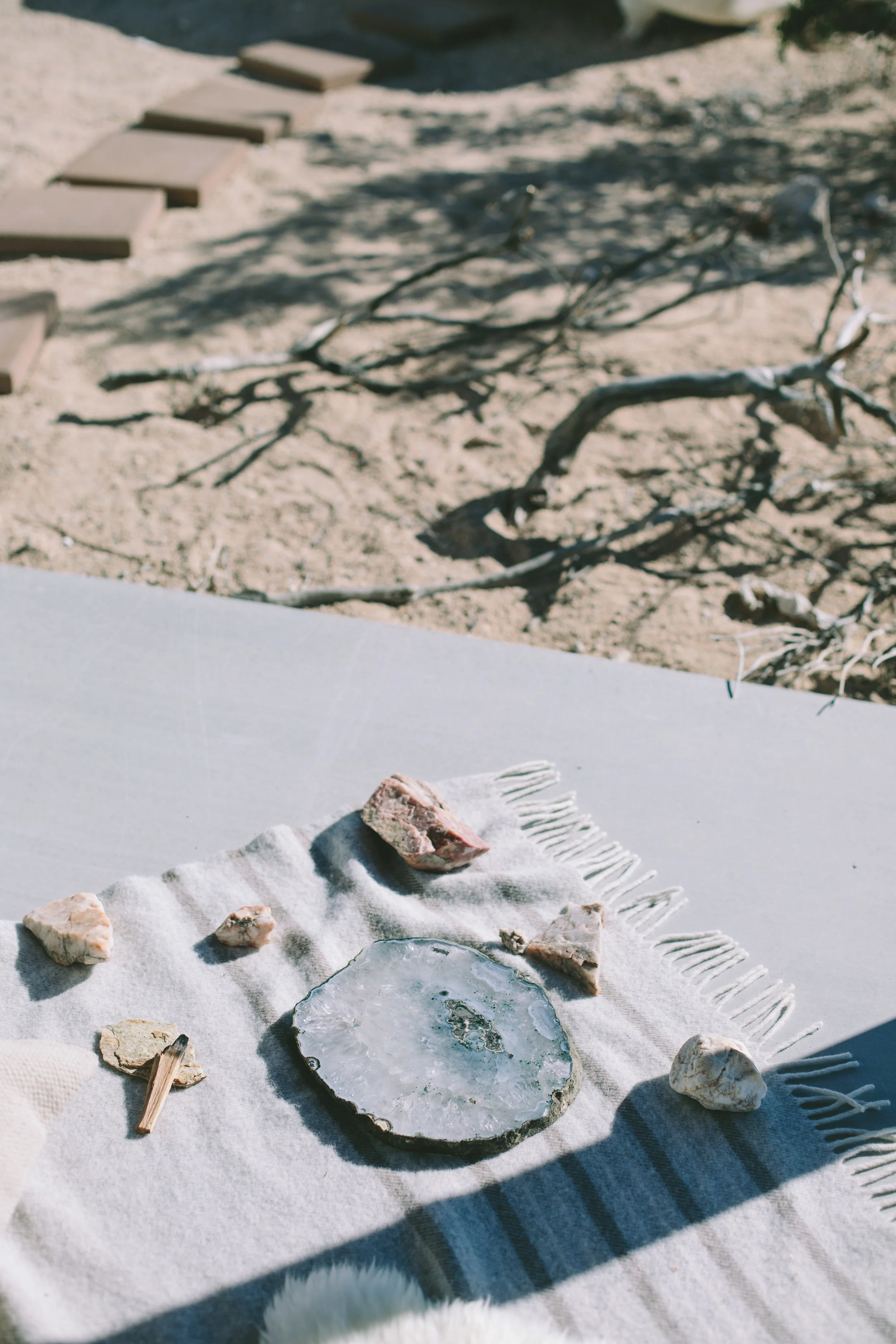JOSHUA_TREE-0494.jpg
