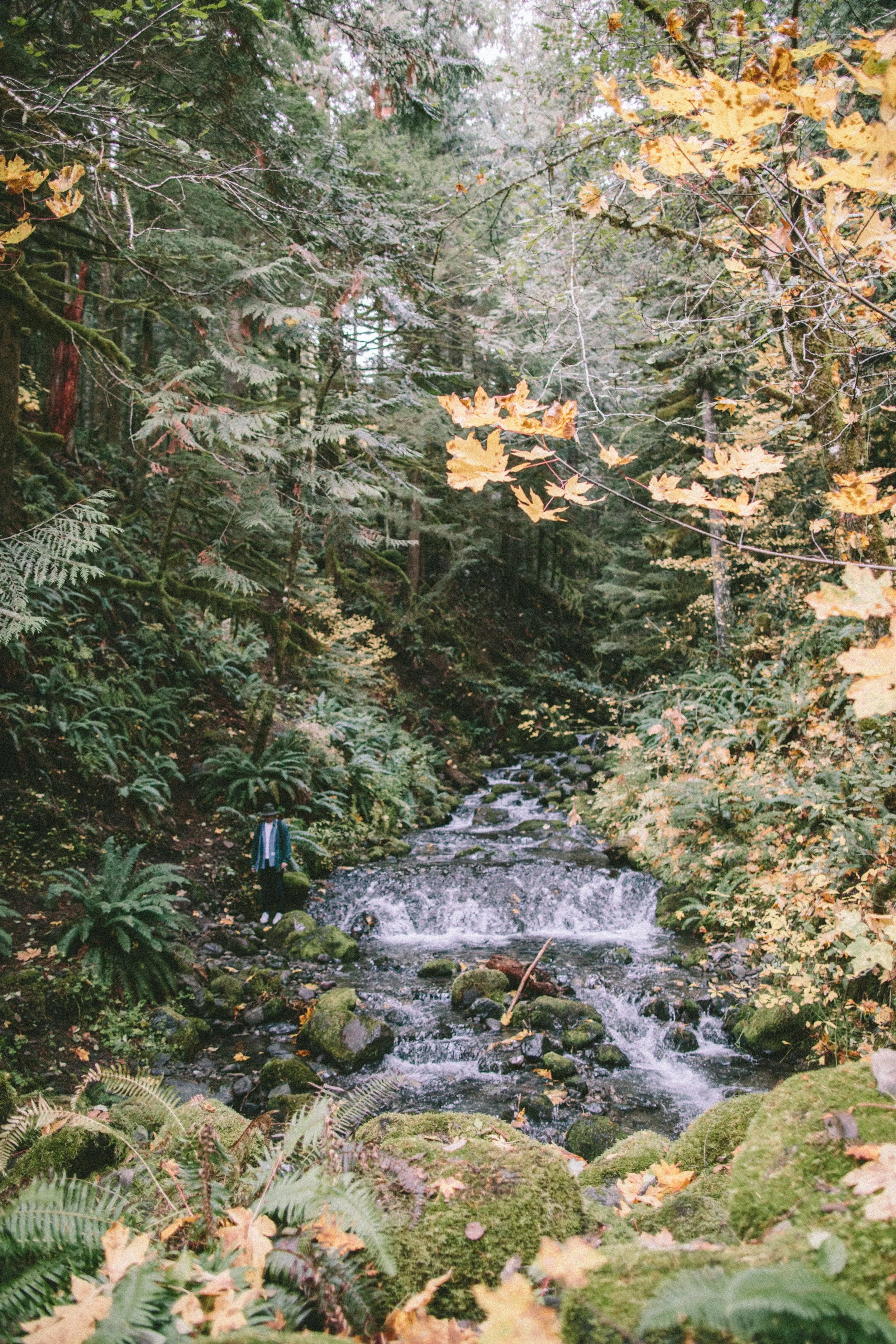 EC_FALL_OREGON-9810.jpg