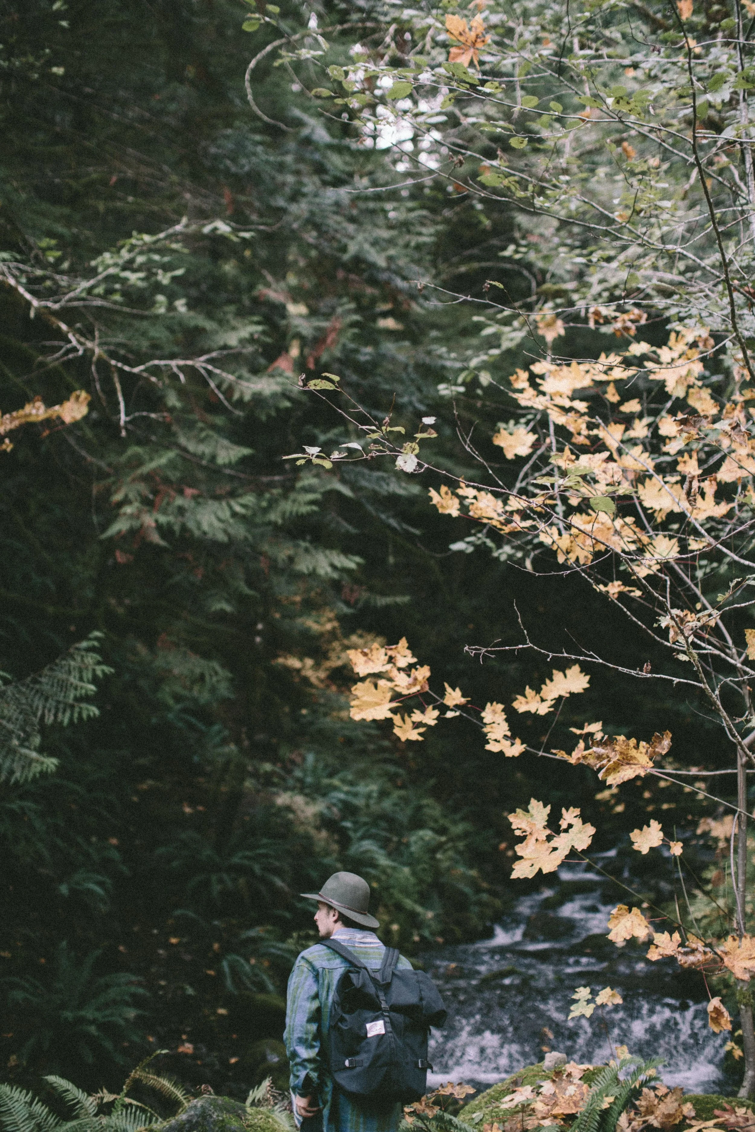 EC_FALL_OREGON-9771.jpg