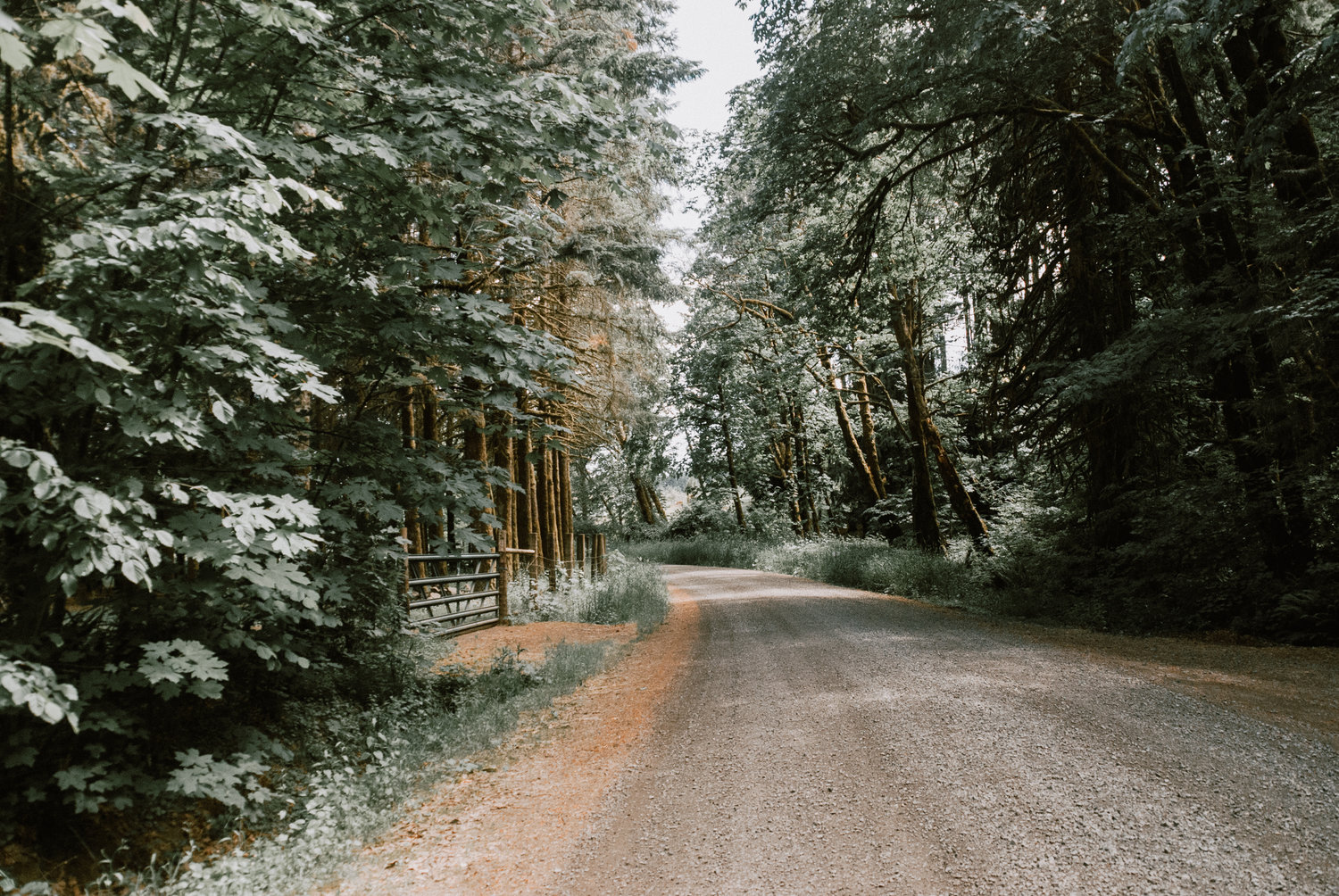 the+road+home.jpeg