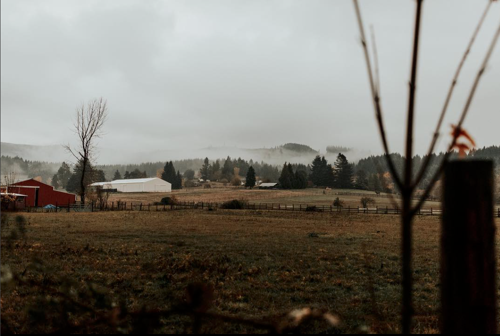 EC_FALL_OREGON-0289.jpg