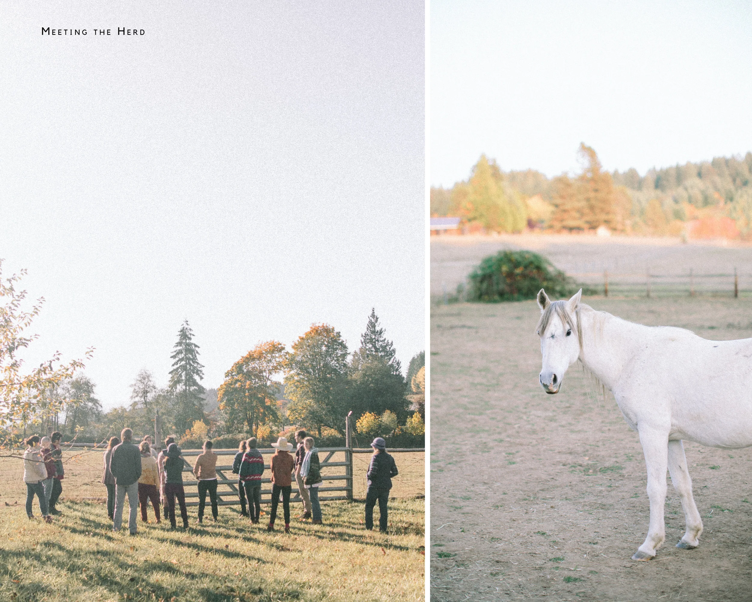 FALL WORKSHOP BLOG.jpg