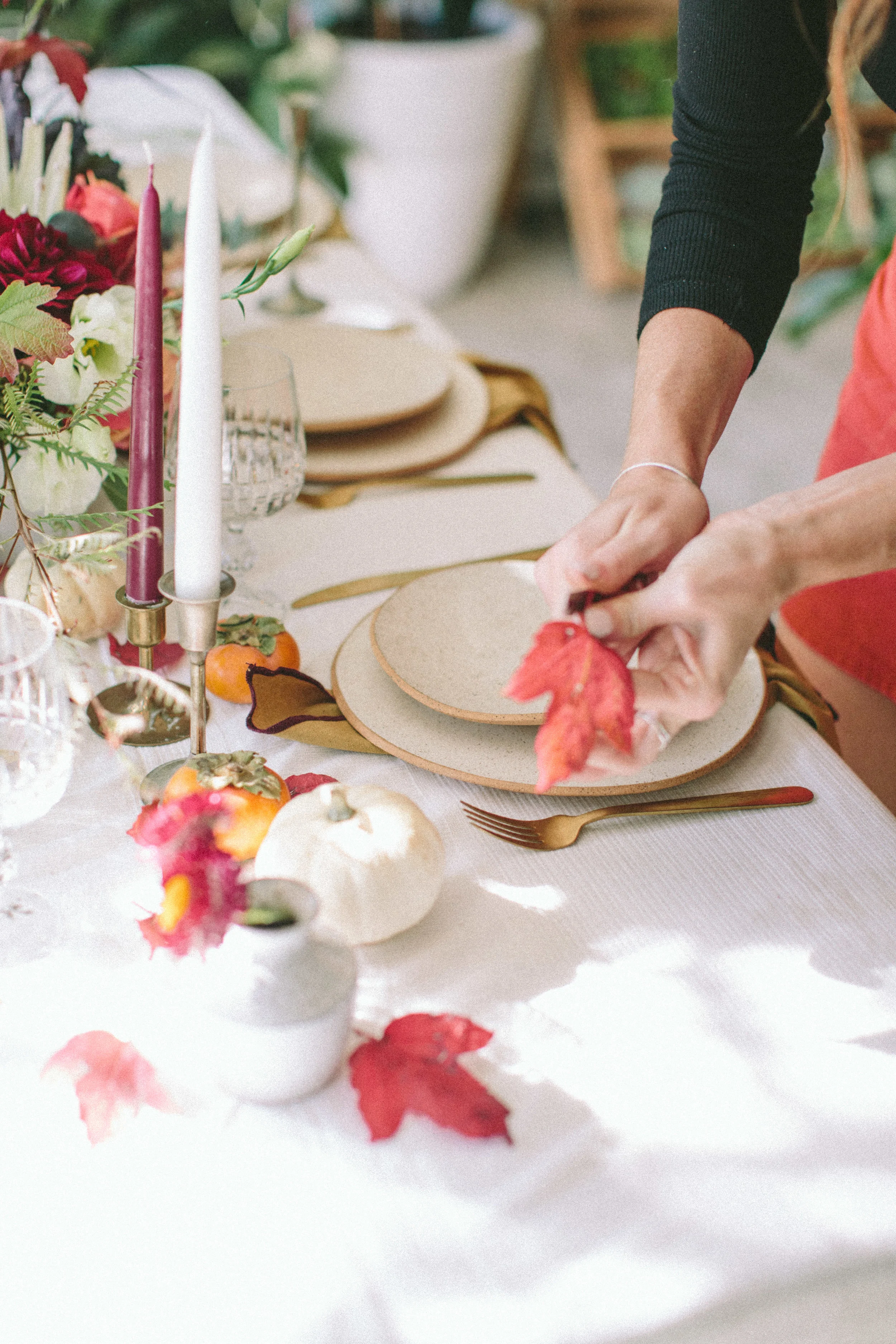 WILDFLORA THANKSGIVING-3656.jpg