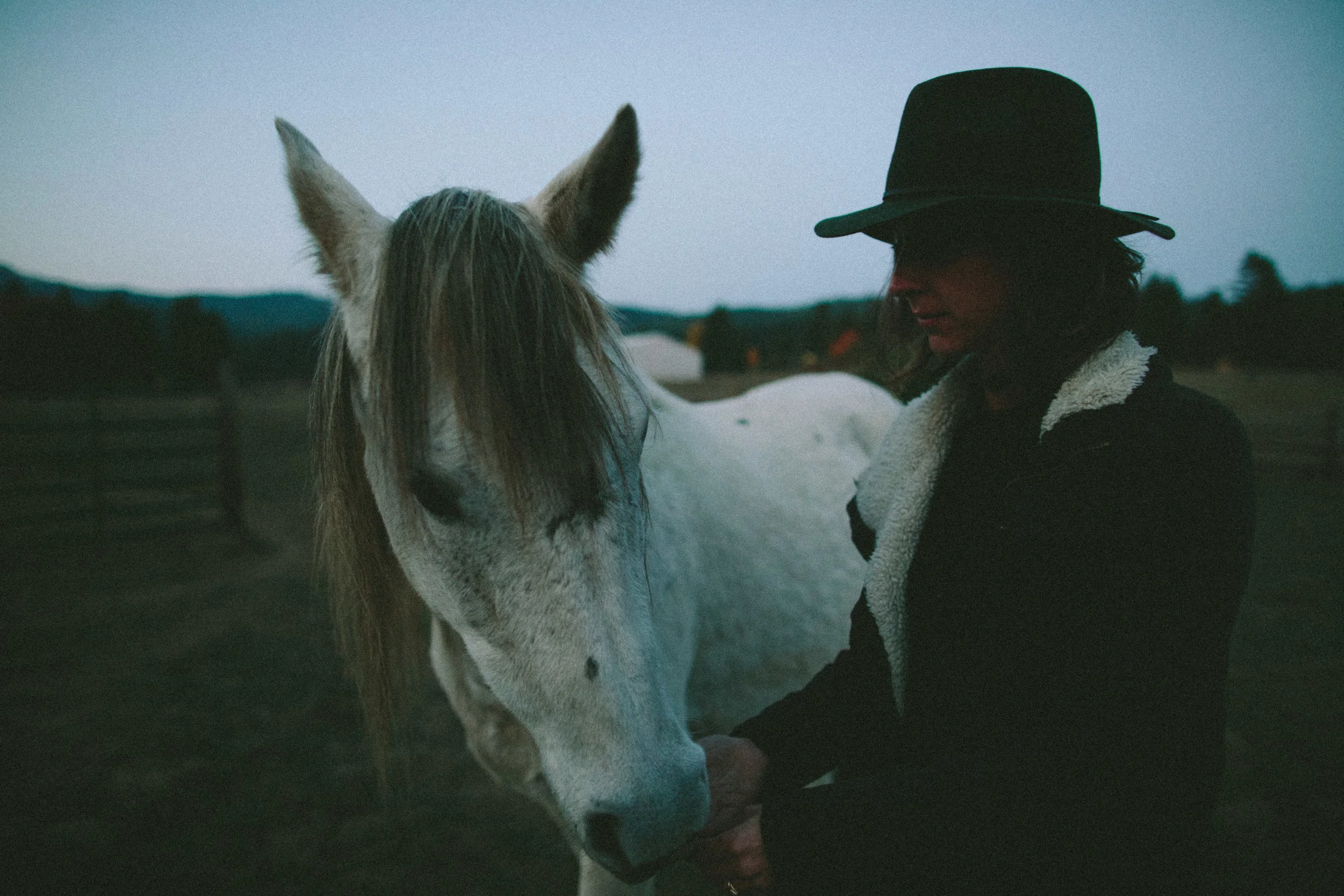 SOUL EQUINE-2558.jpg