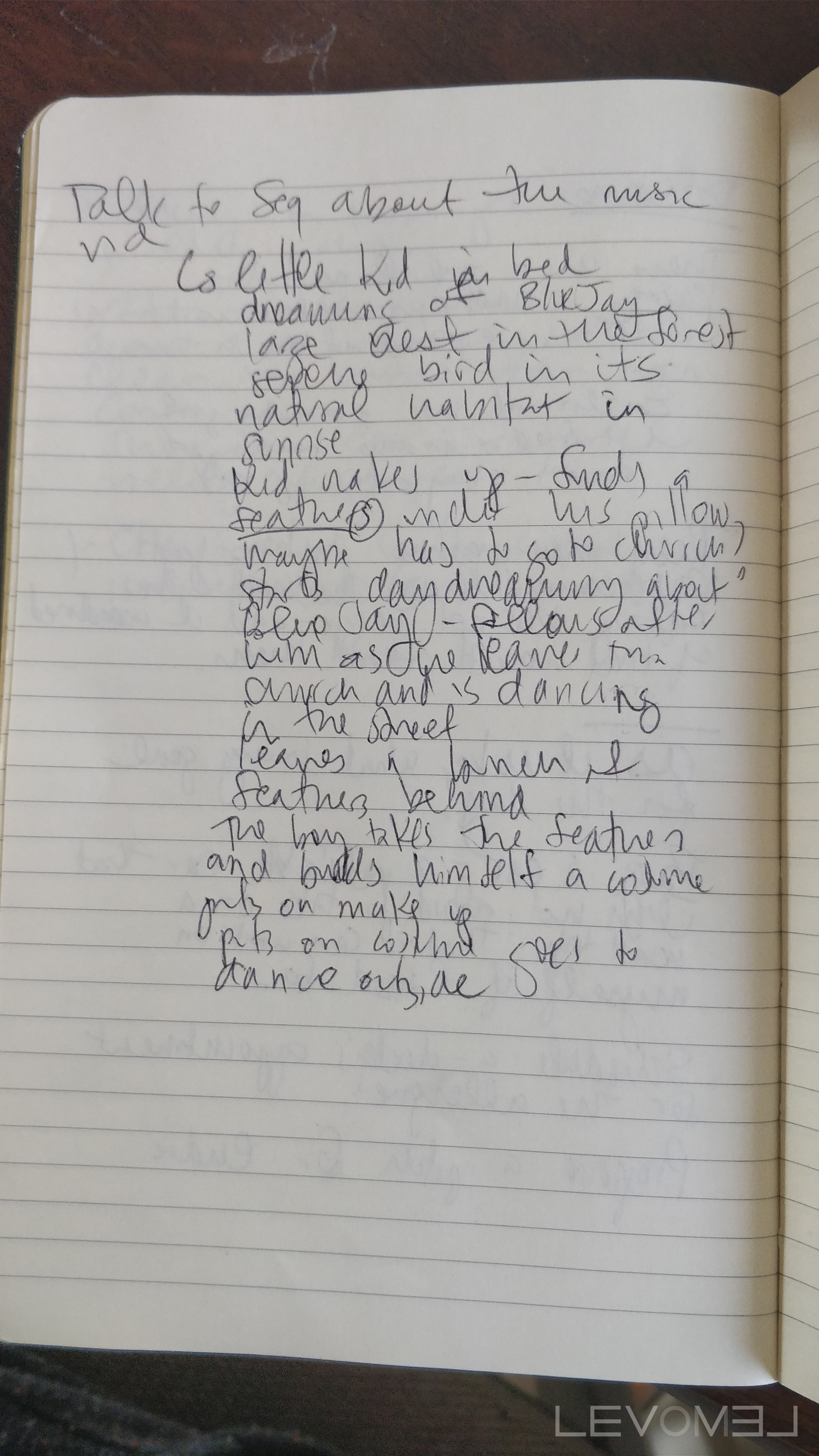 Blue Jays Journal Entry