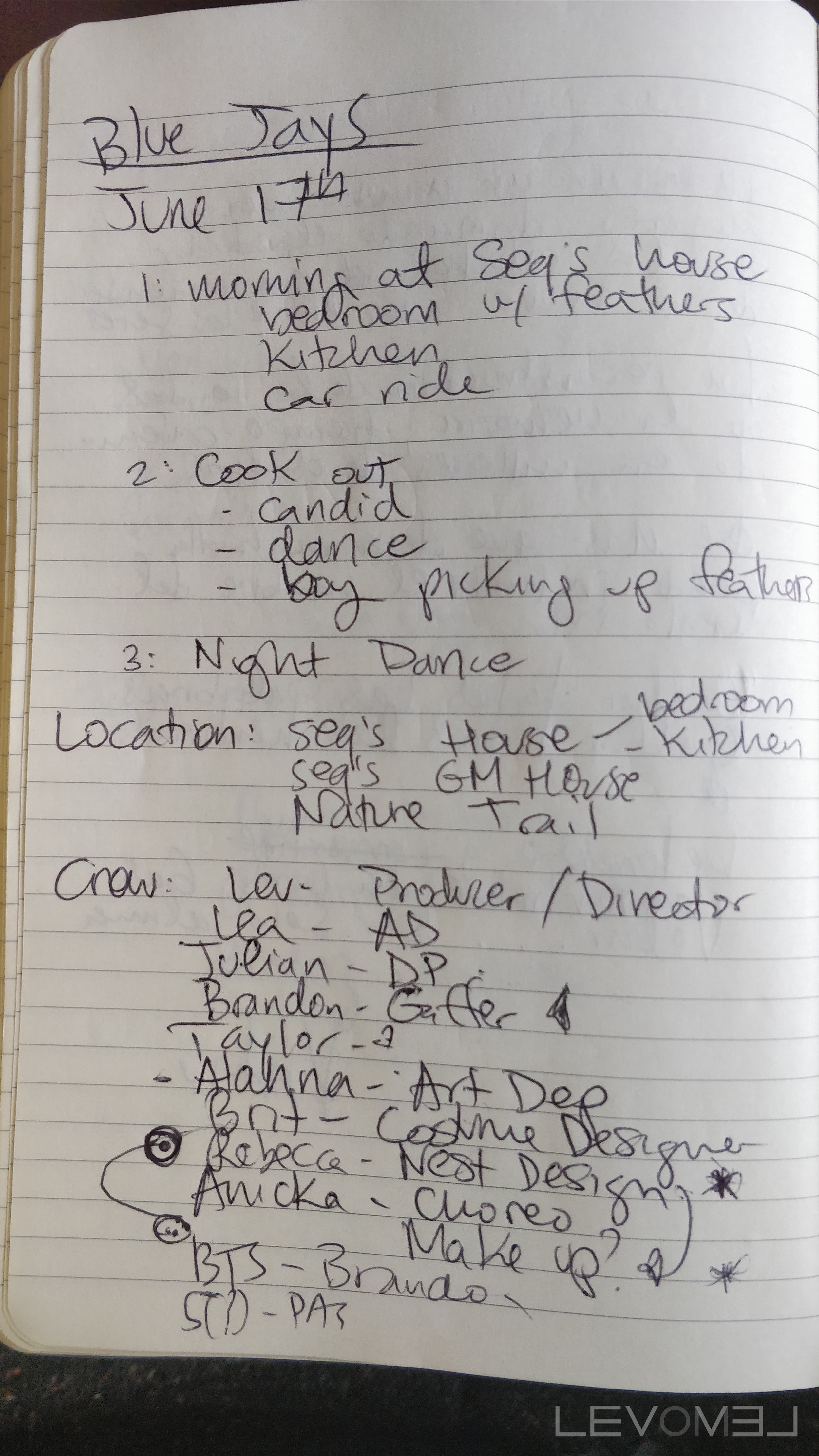 Blue Jays Journal Entry