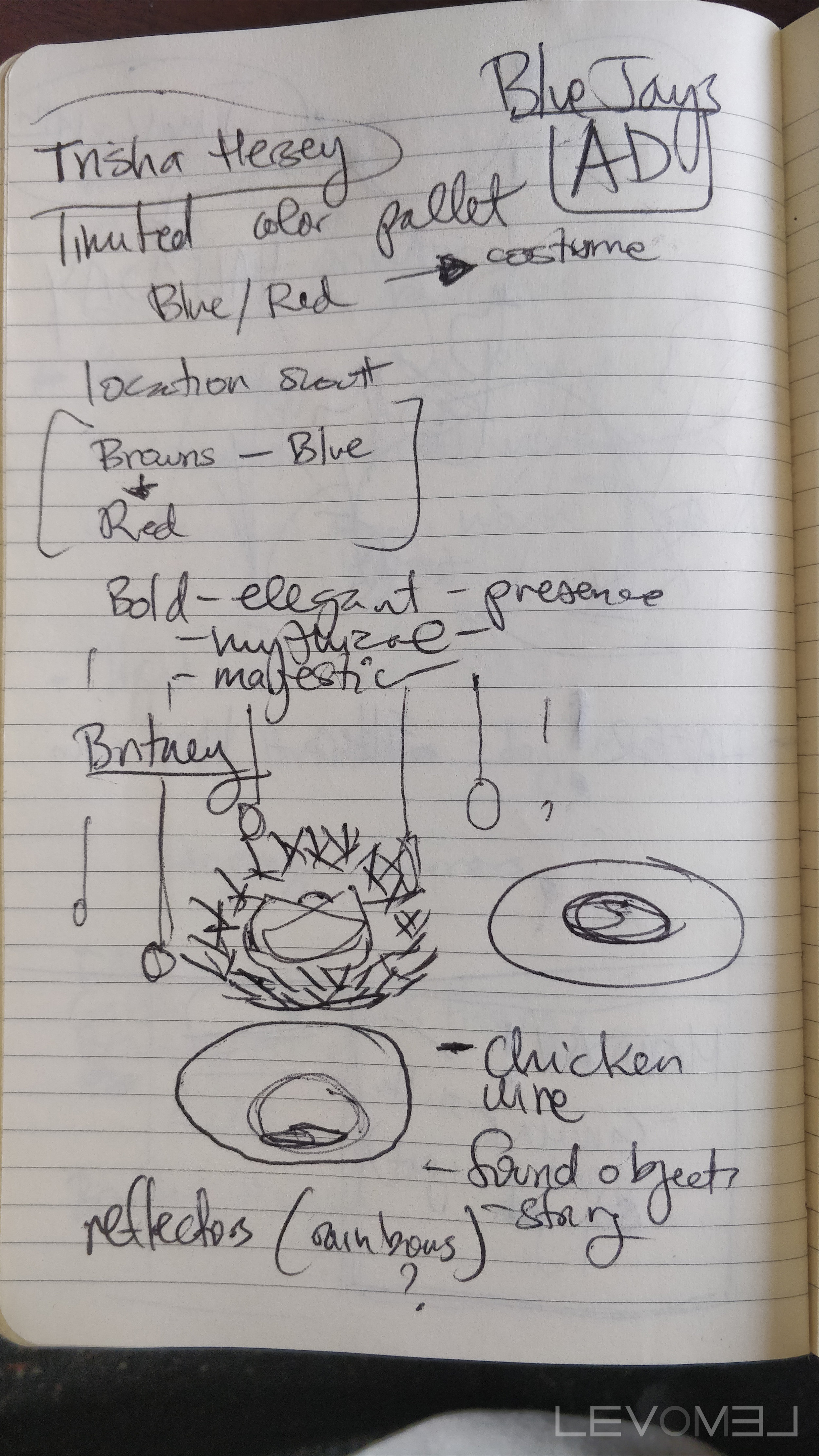 Blue Jays Journal Entry