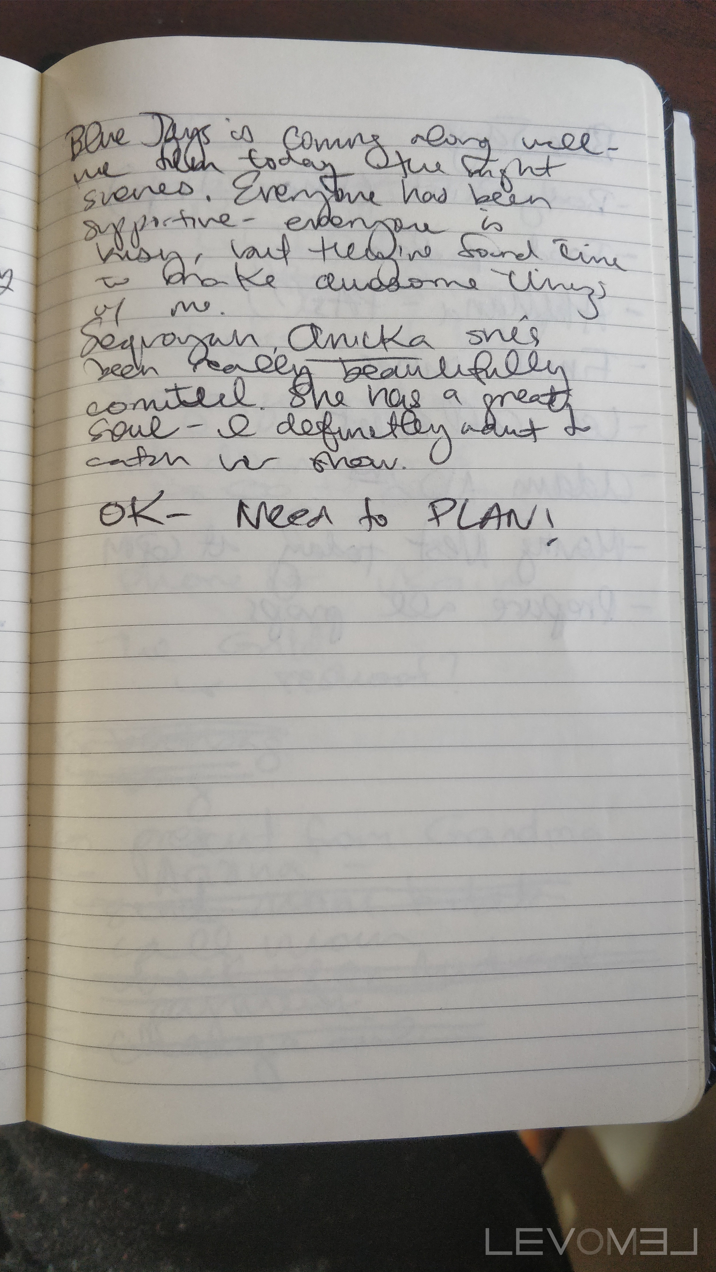 Blue Jays Journal Entry
