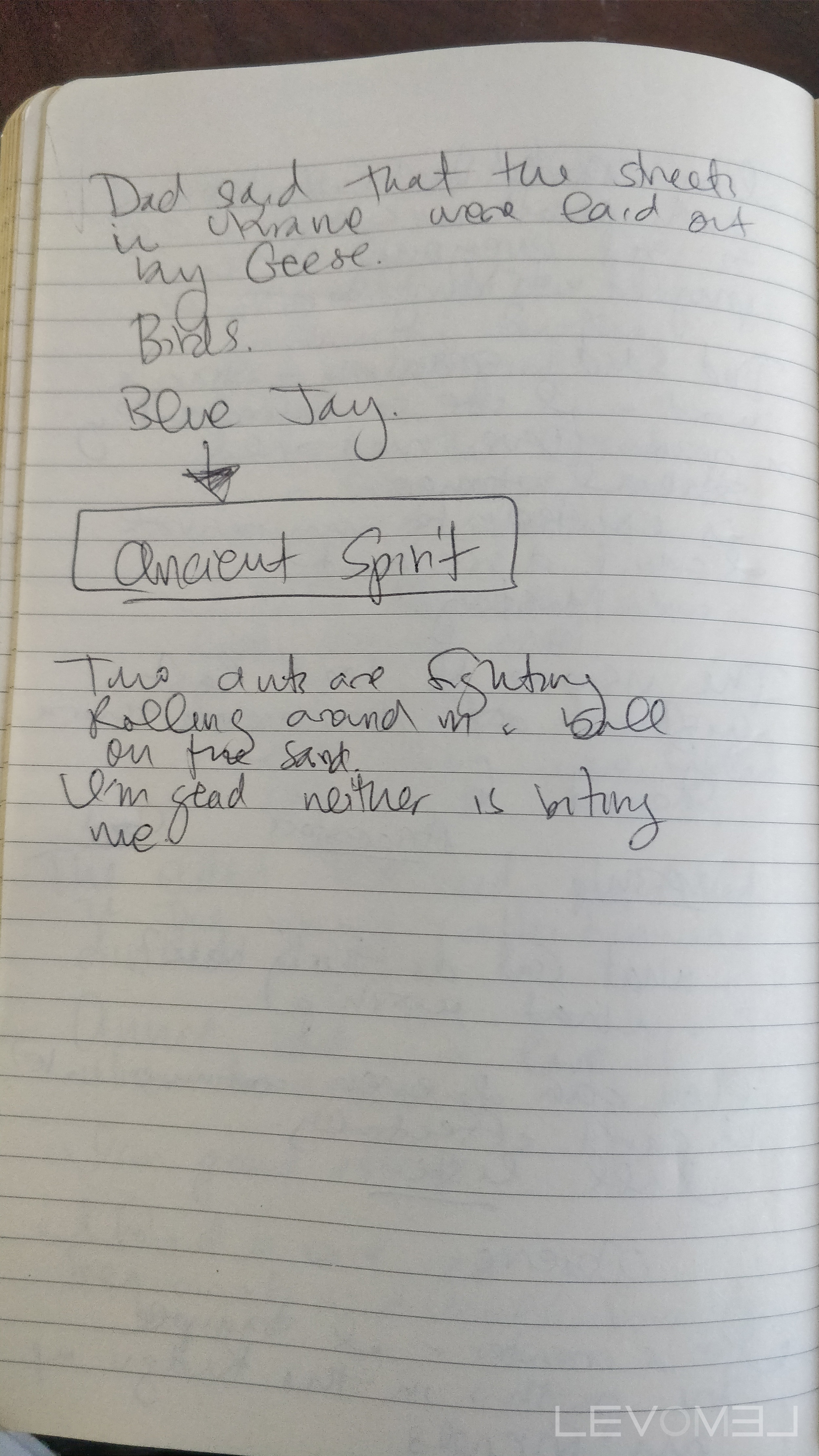 Blue Jays Journal Entry