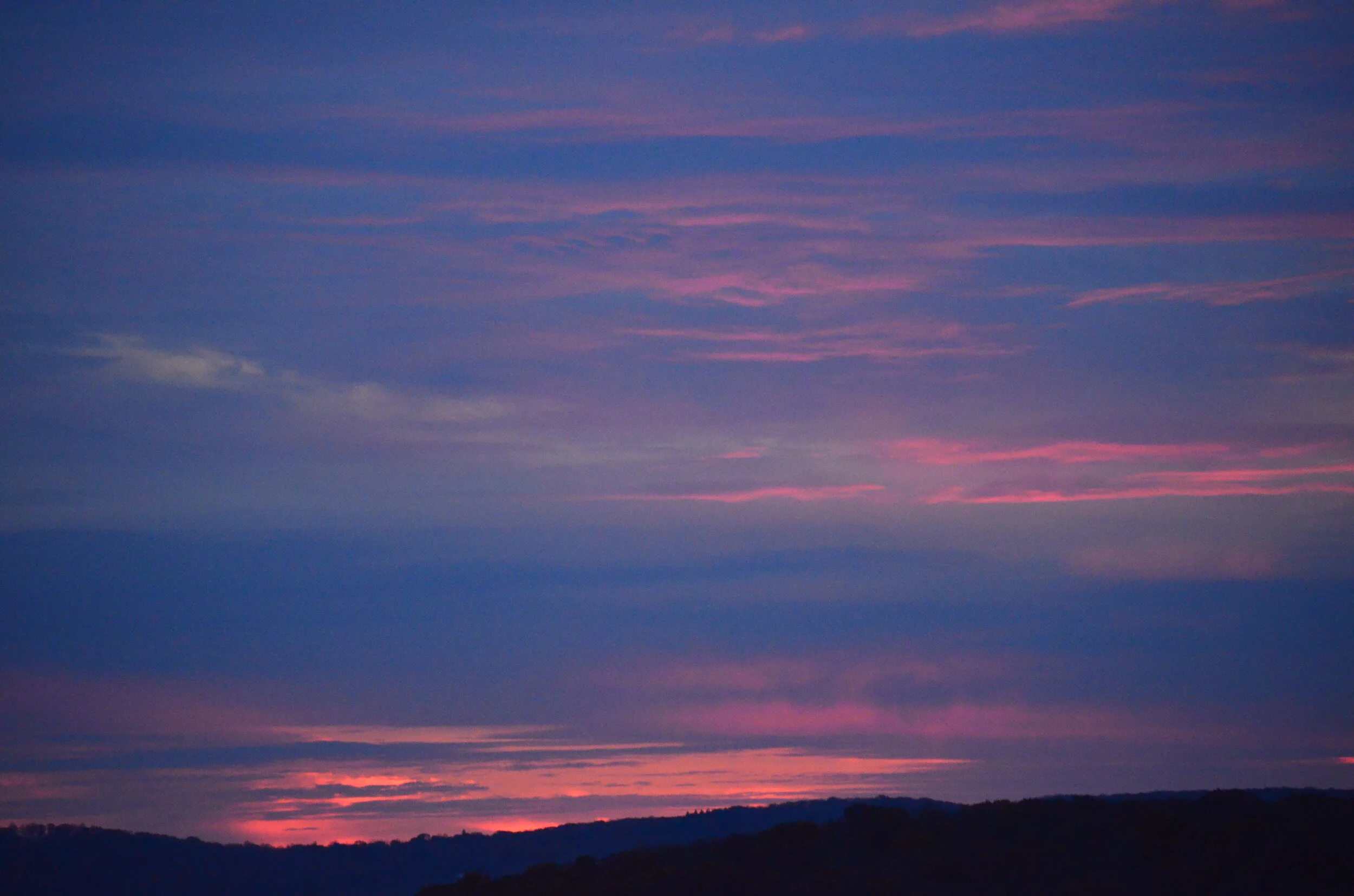 DSC_0431.JPG