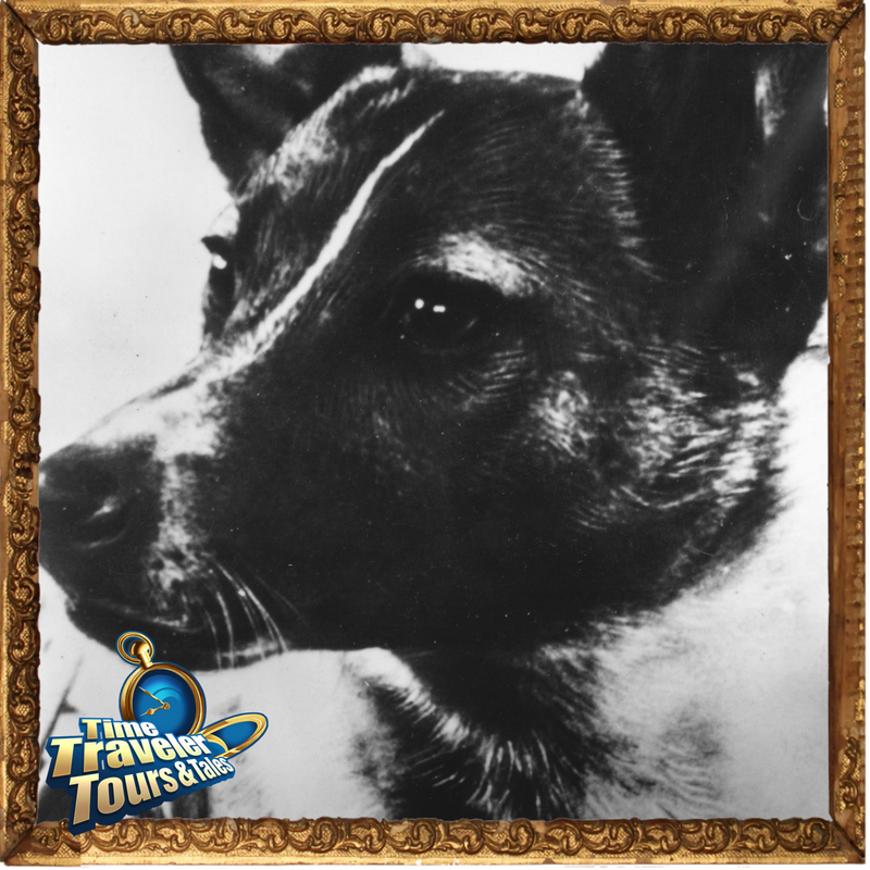 HistoryHero Portrait Laika.png