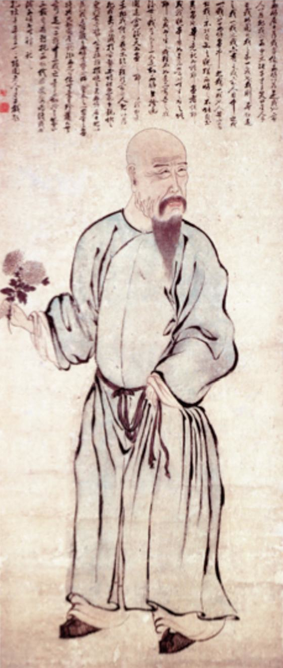 YuanMeiLuoPingI.jpg