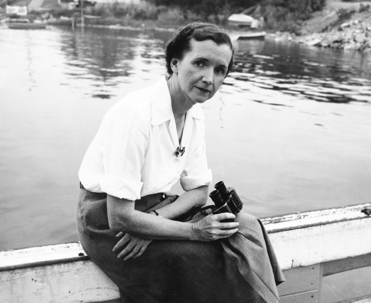 RachelCarson2-1184x968.jpg