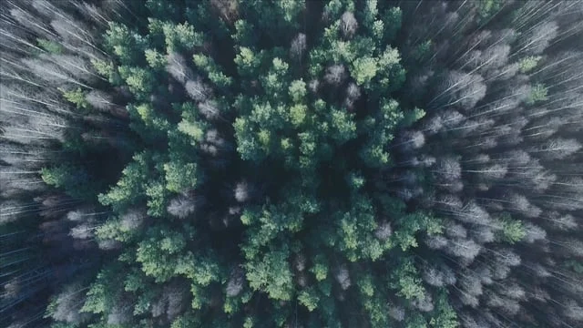 Multimedia 2016 - 1:a pris