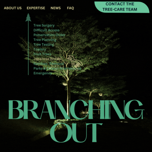 From growth to effortless control