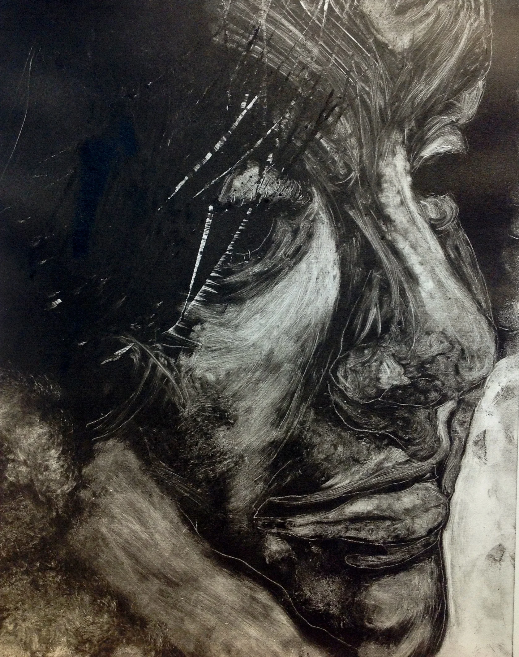 Max Paillard