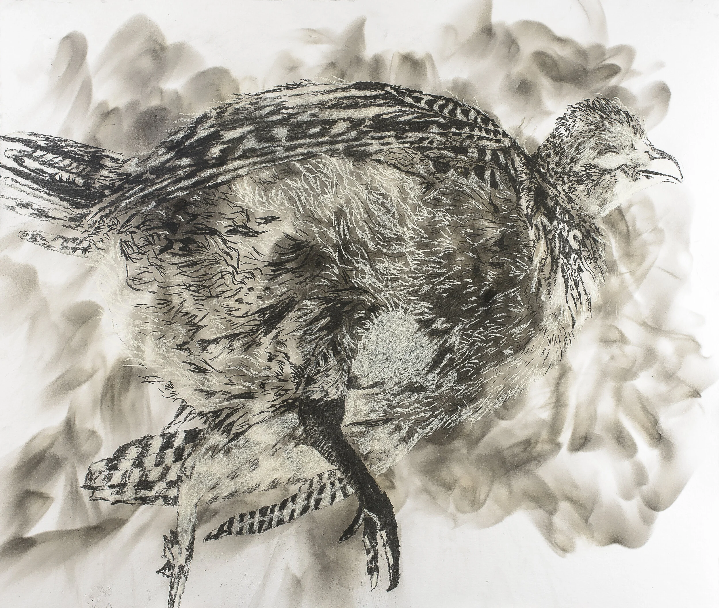 High res-_DSC0720.jpg