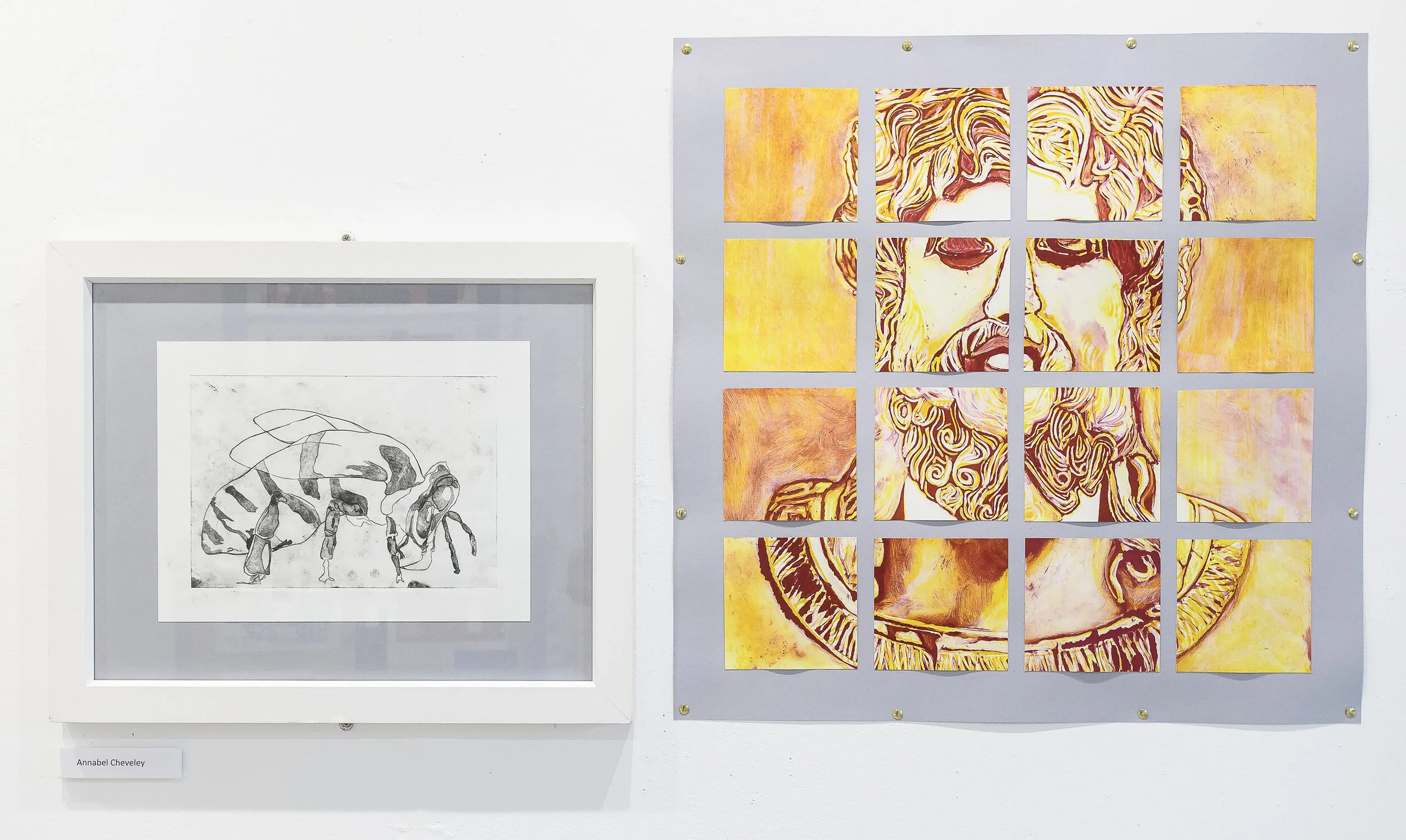 Annabel Cheveley 0.jpg