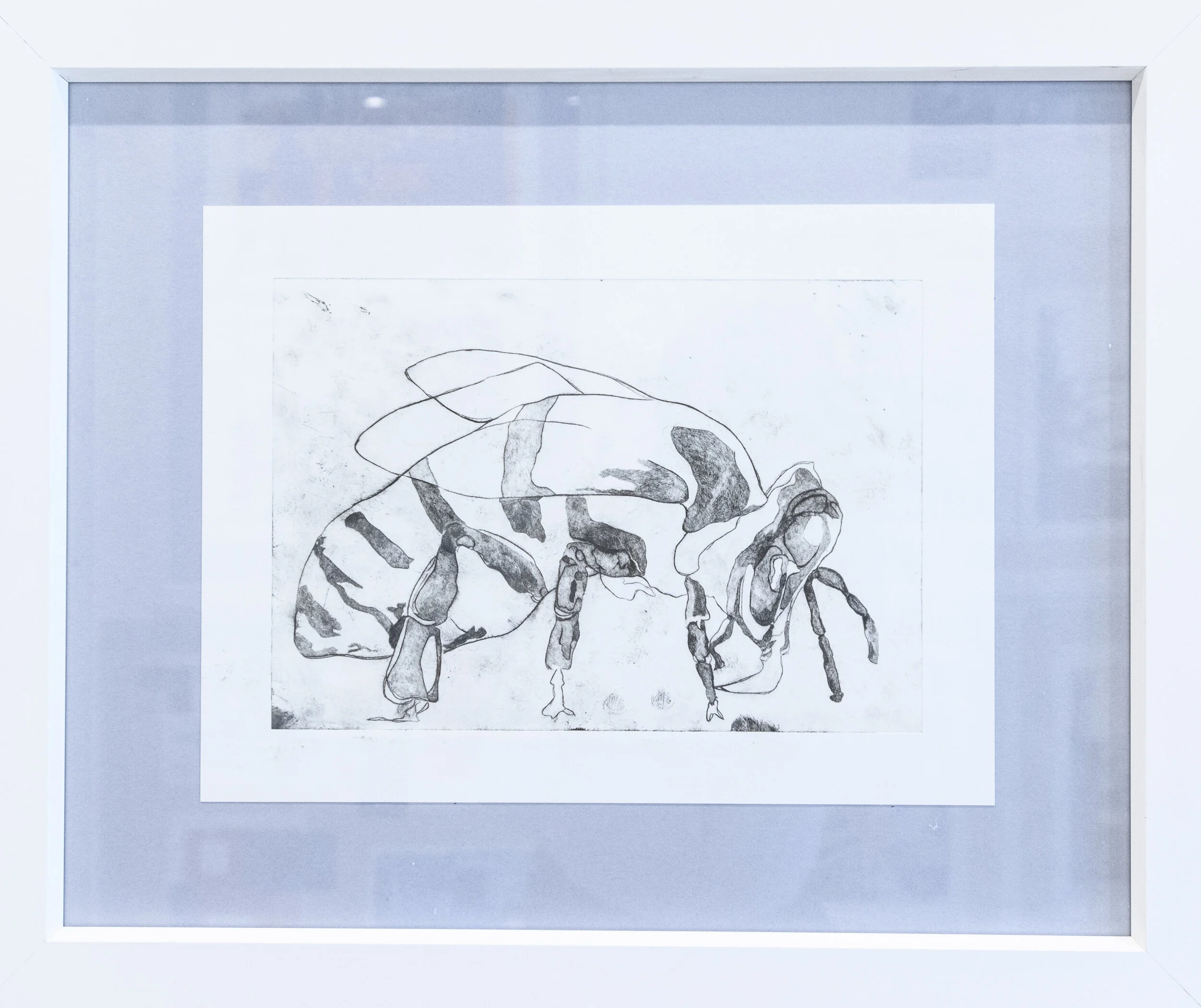 Annabel Cheveley 1.jpg