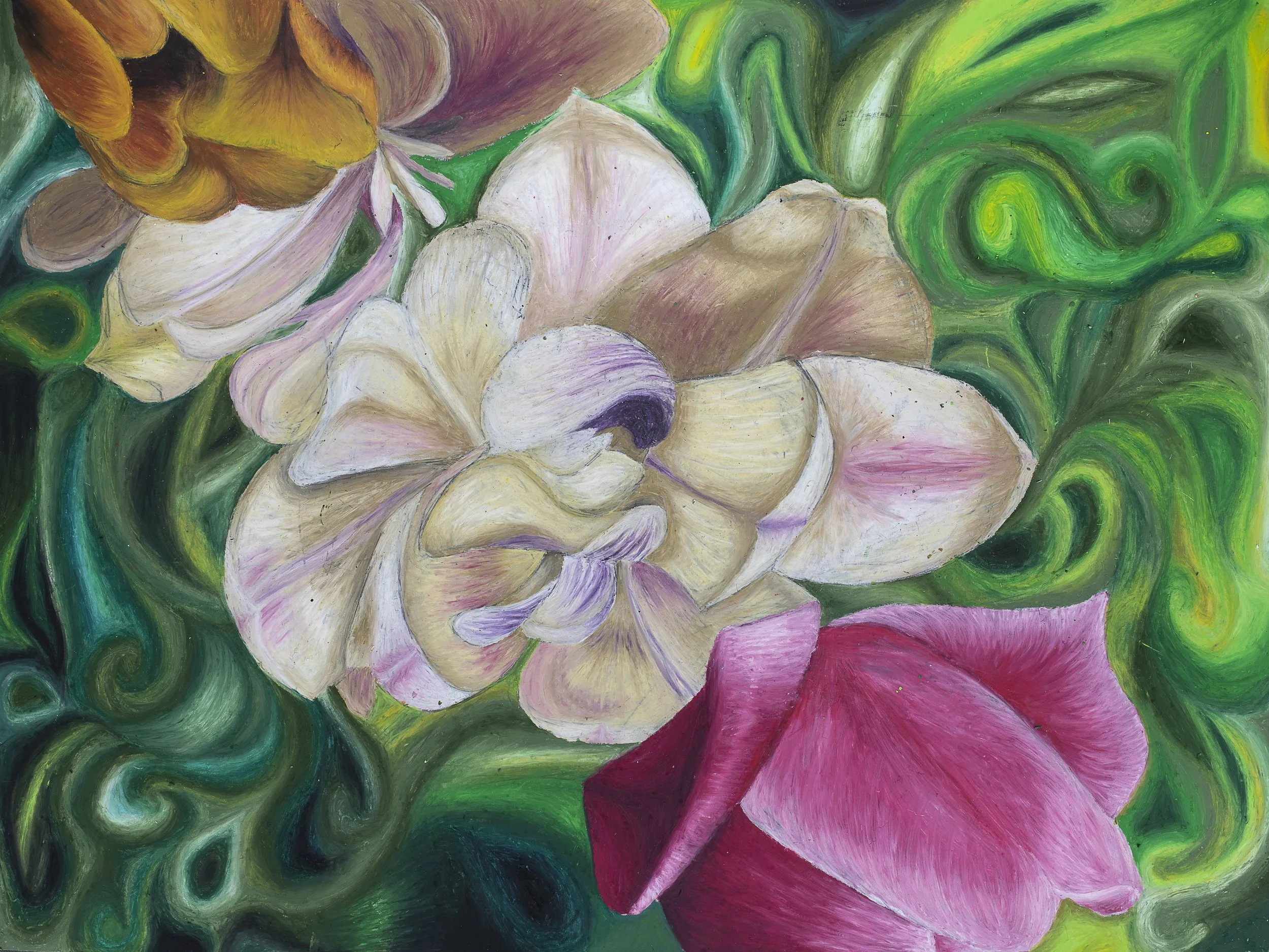 Sorcha McAllister (2).jpg